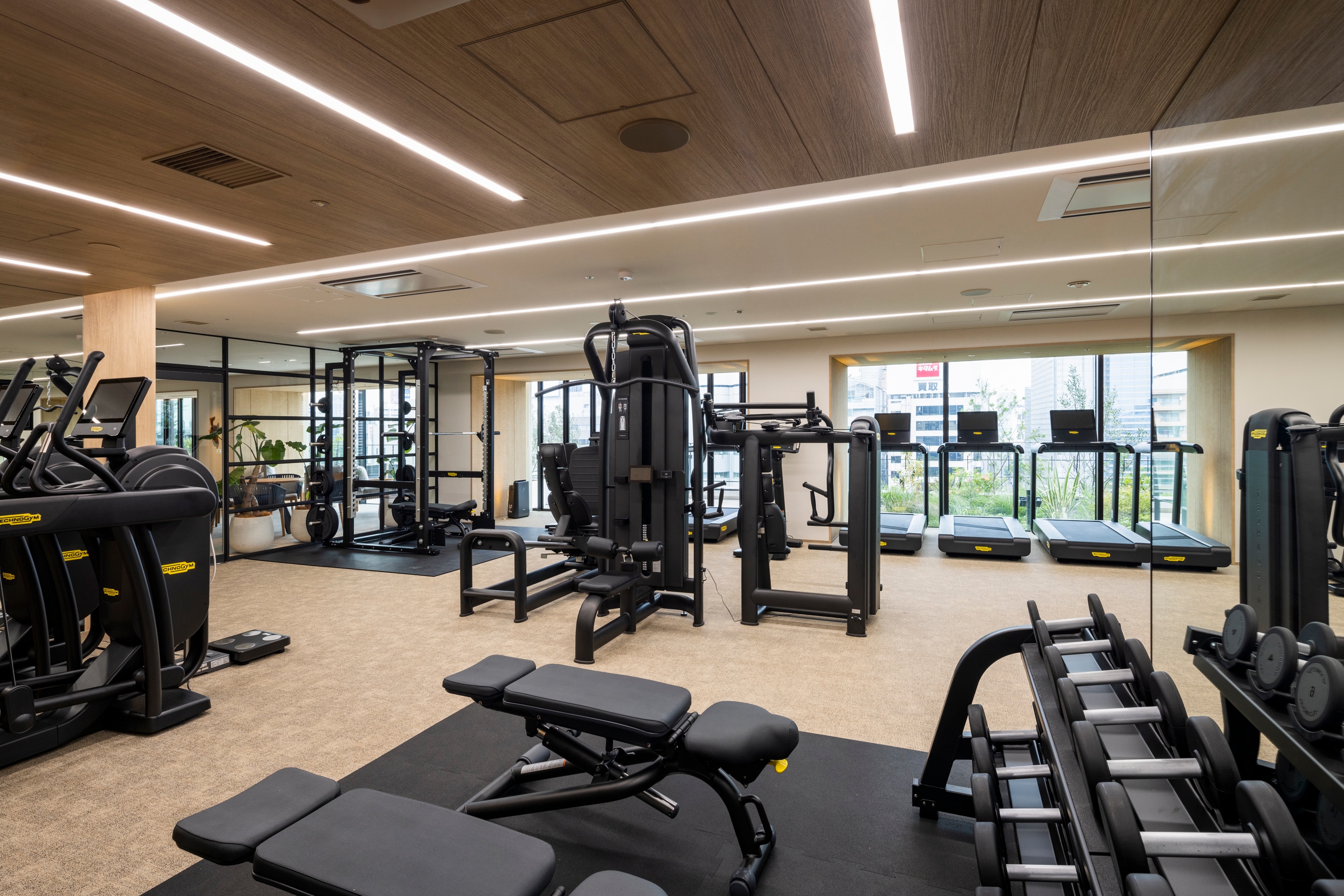 WELLNESS fitness gym