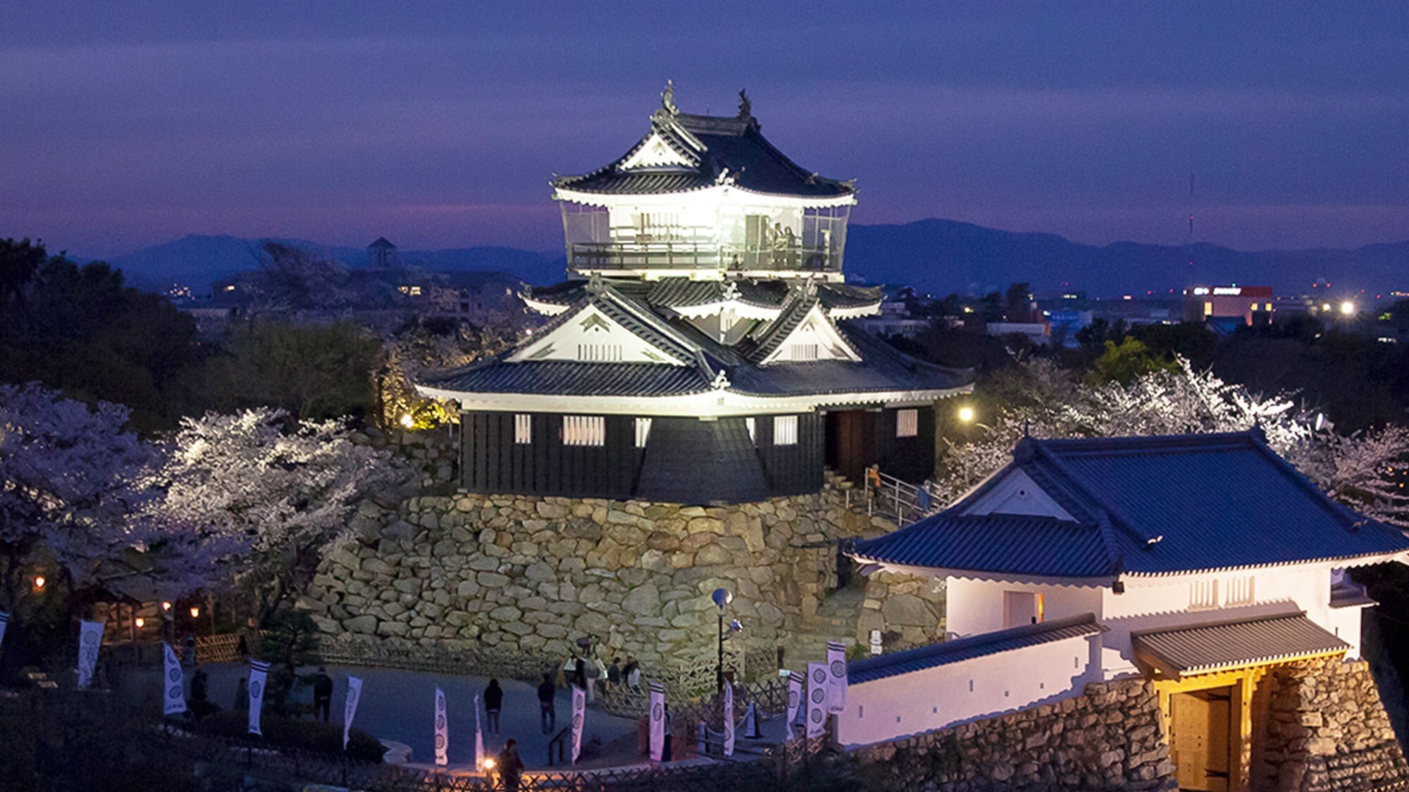● Hamamatsu Castle (night)