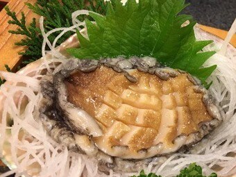 Sashimi bào ngư