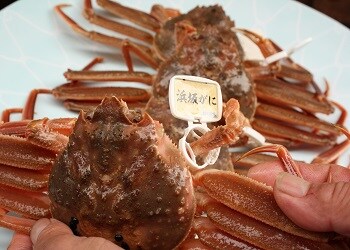 螃蟹