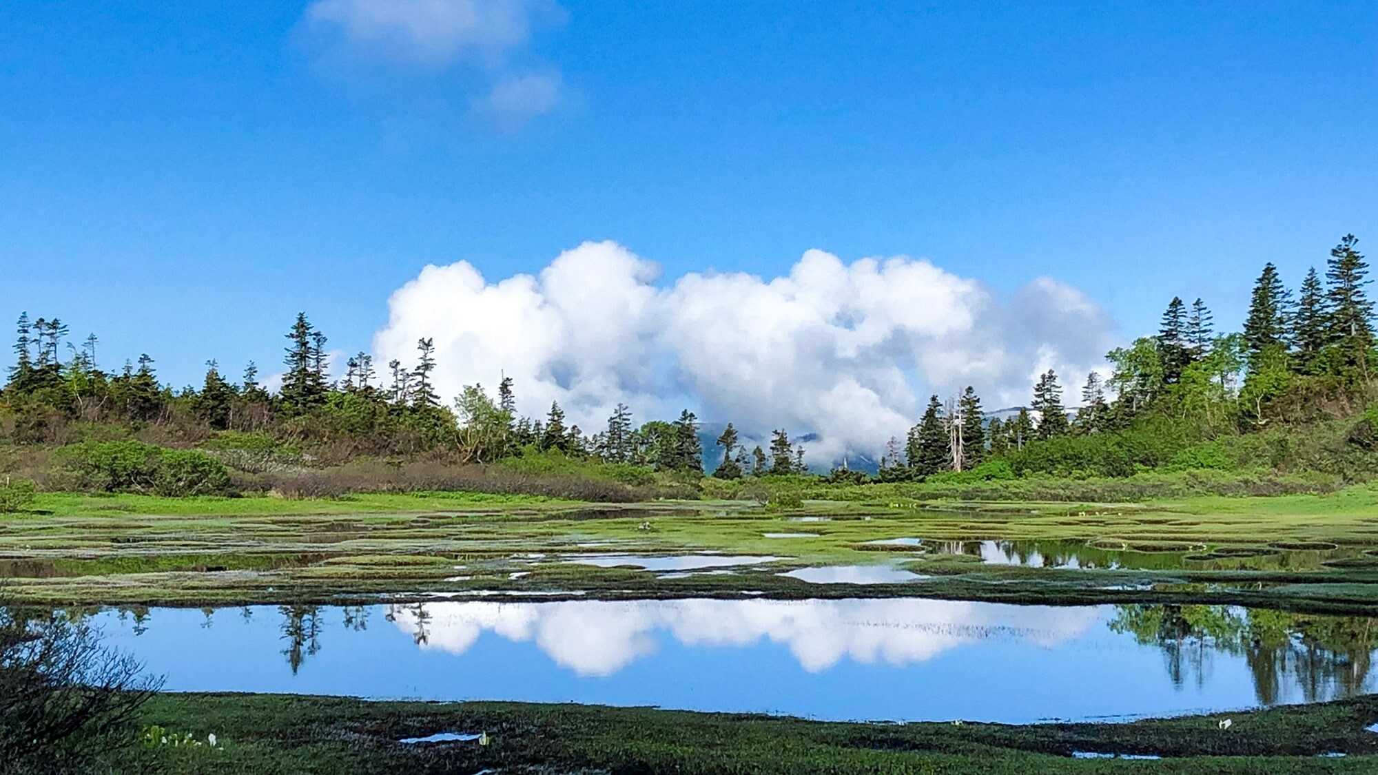 ・[週邊] 黑姬森林是一片療癒森林。你可以充分感受到大自然的恩賜