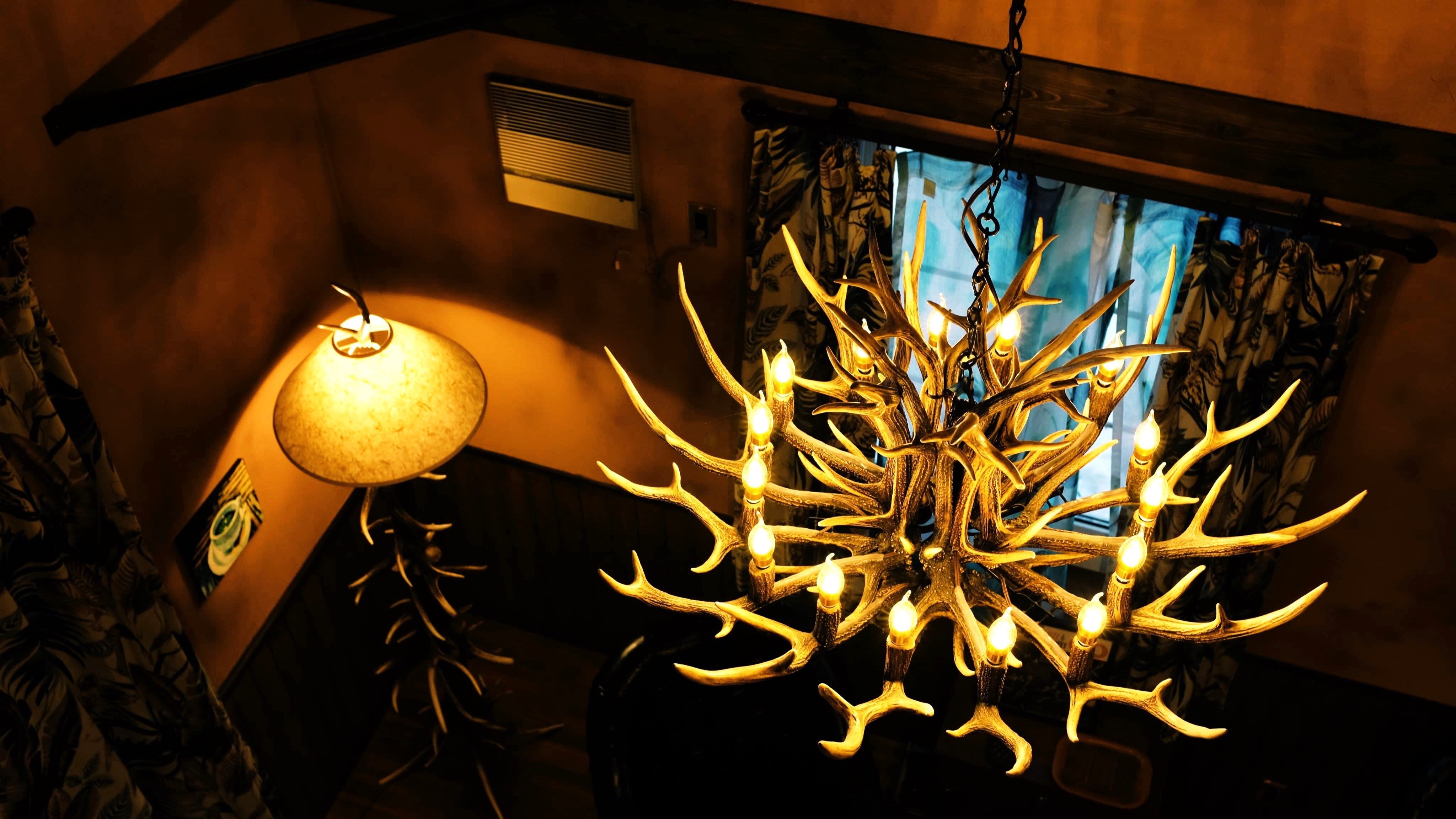 [Deer Horn] The antlers of the Ezo deer, which have survived the harsh natural environment of Hokkaido, have a striking presence.