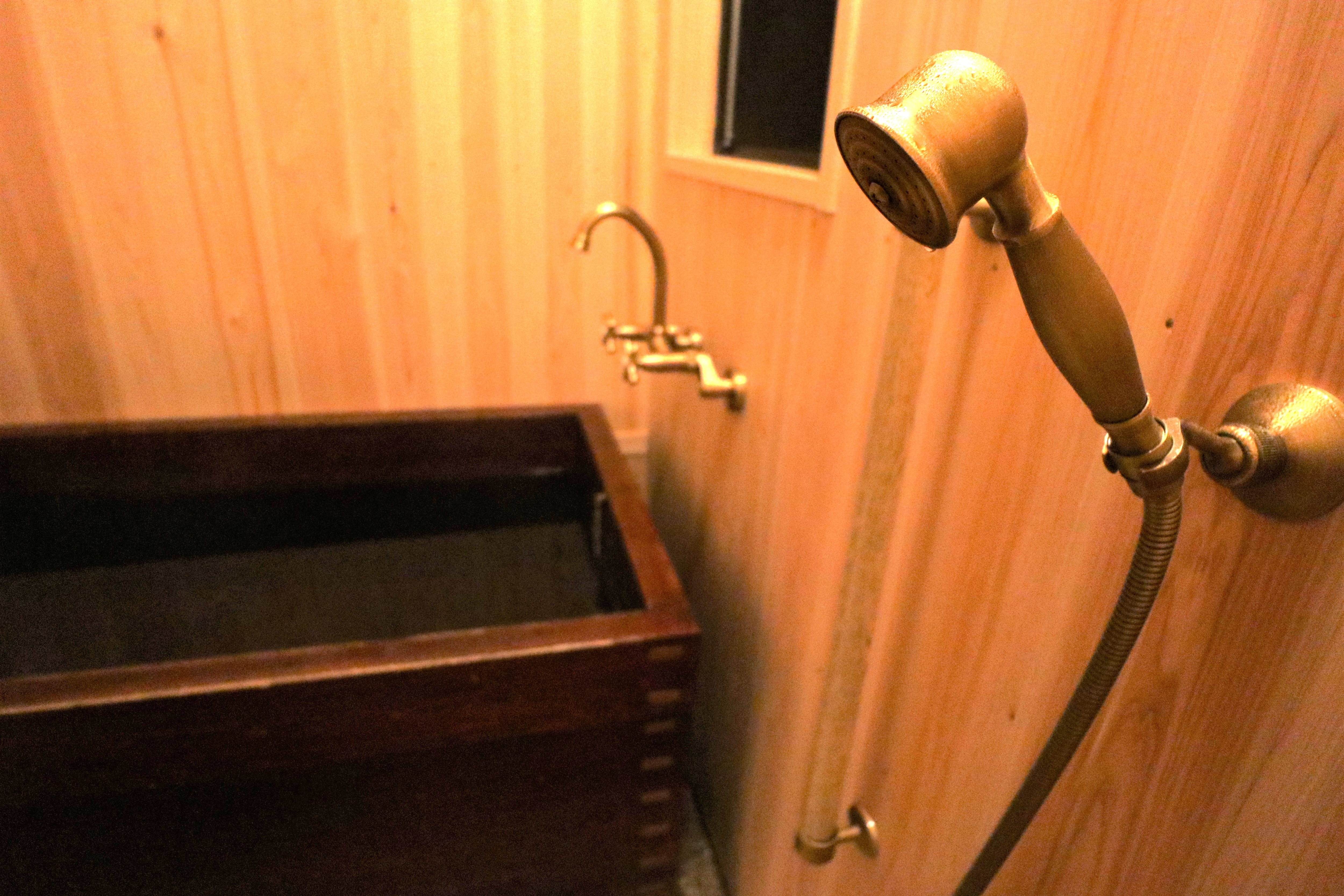 Antique-style shower and faucet