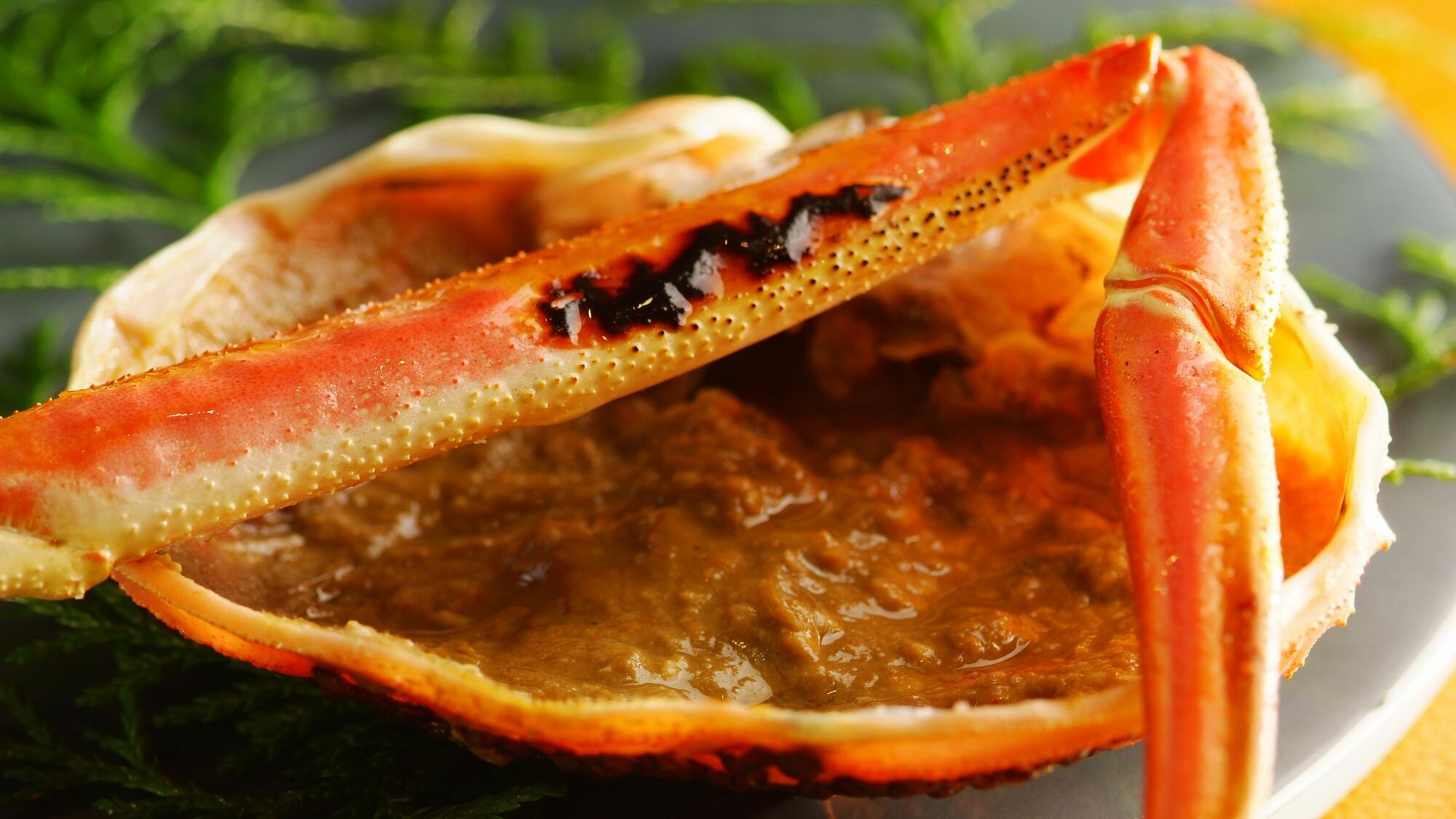 Matsuba crab risotto