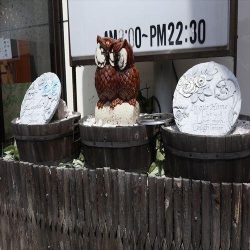 [Entrance] An owl will welcome you ♪