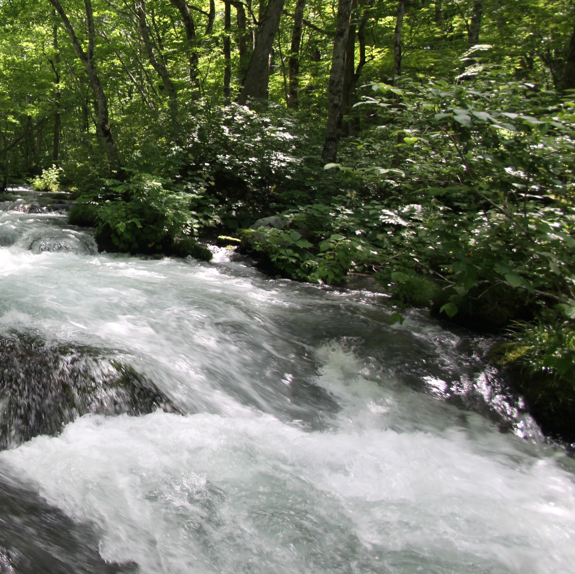 Oirase Gorge