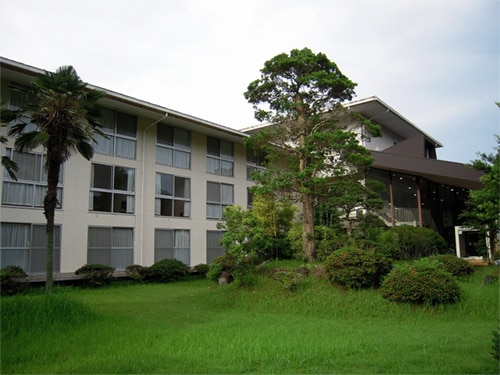 Appearance image