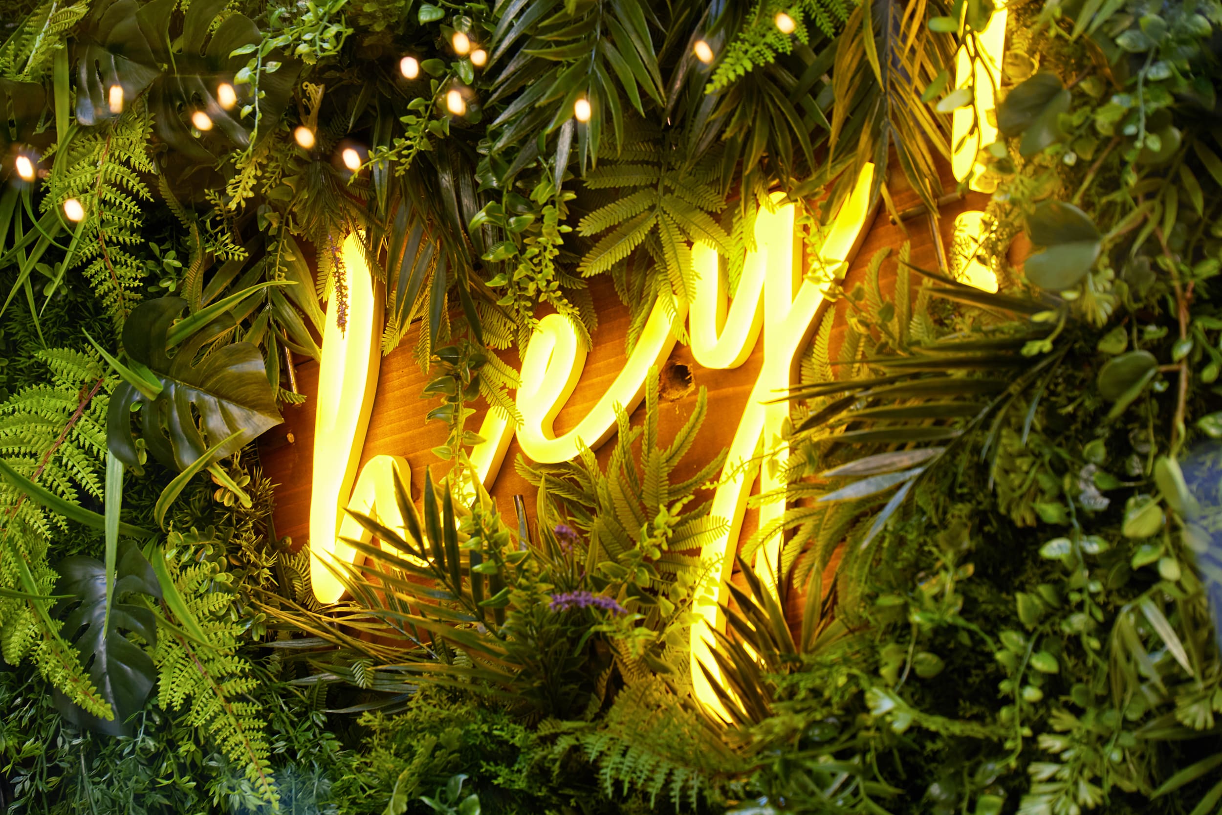 room_501_Phòng Superior 4 người có sân hiên