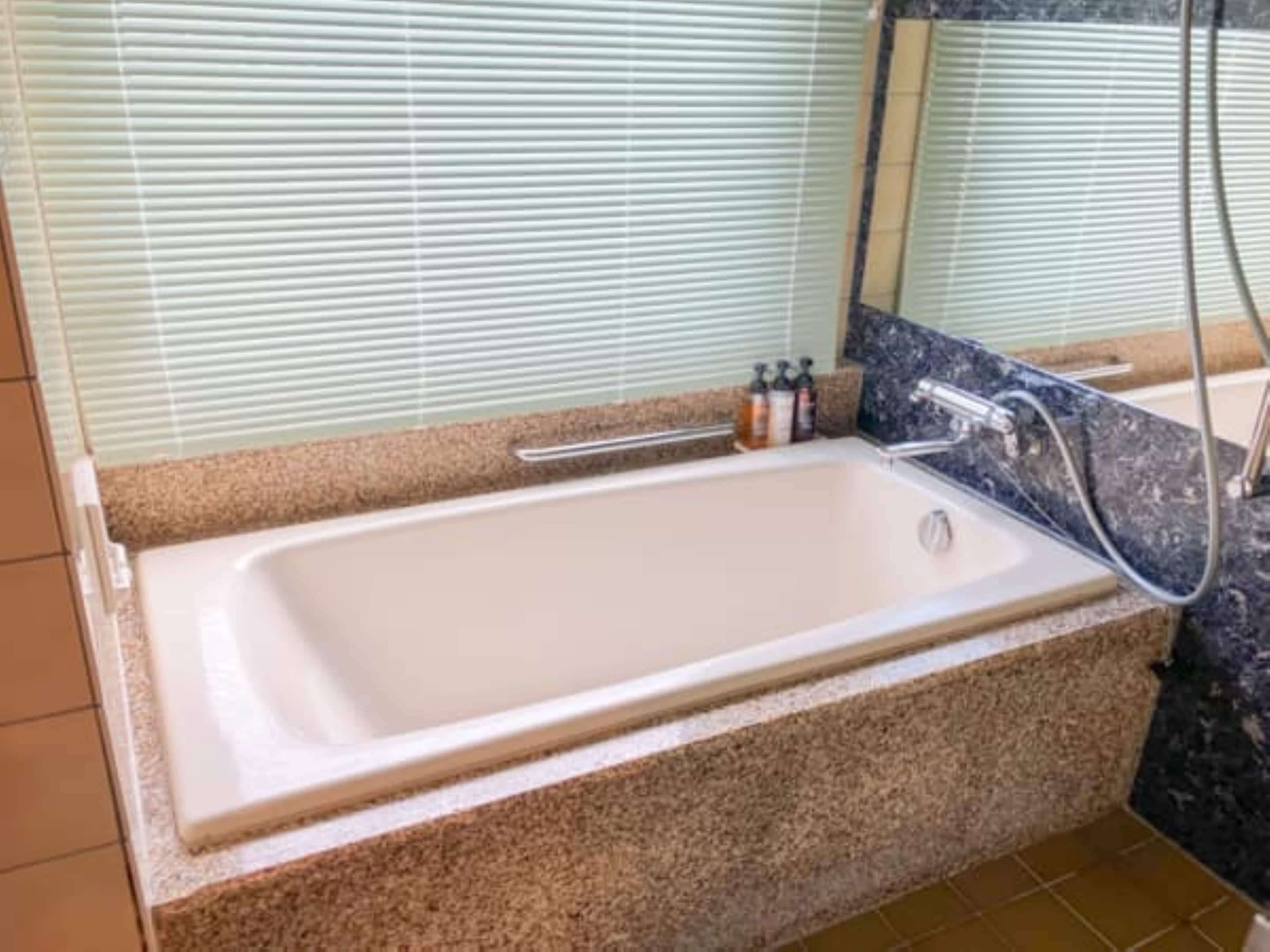 Family room toilet and sink