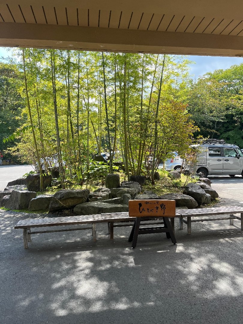 IMG_3201.jpeg