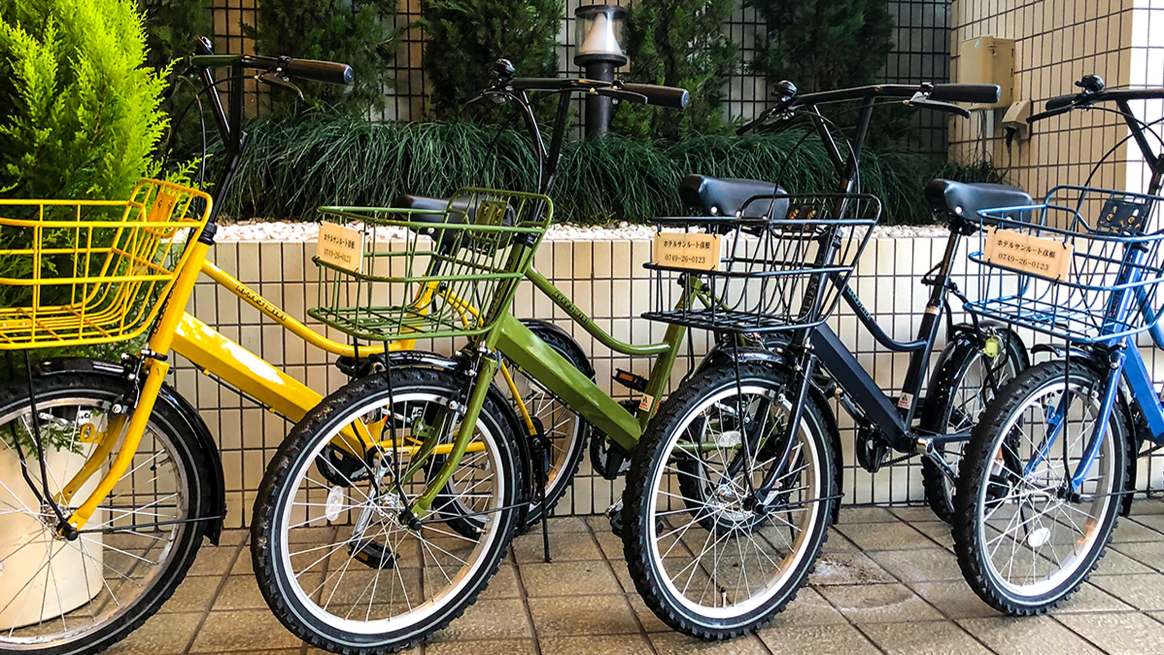 Free rental bicycle