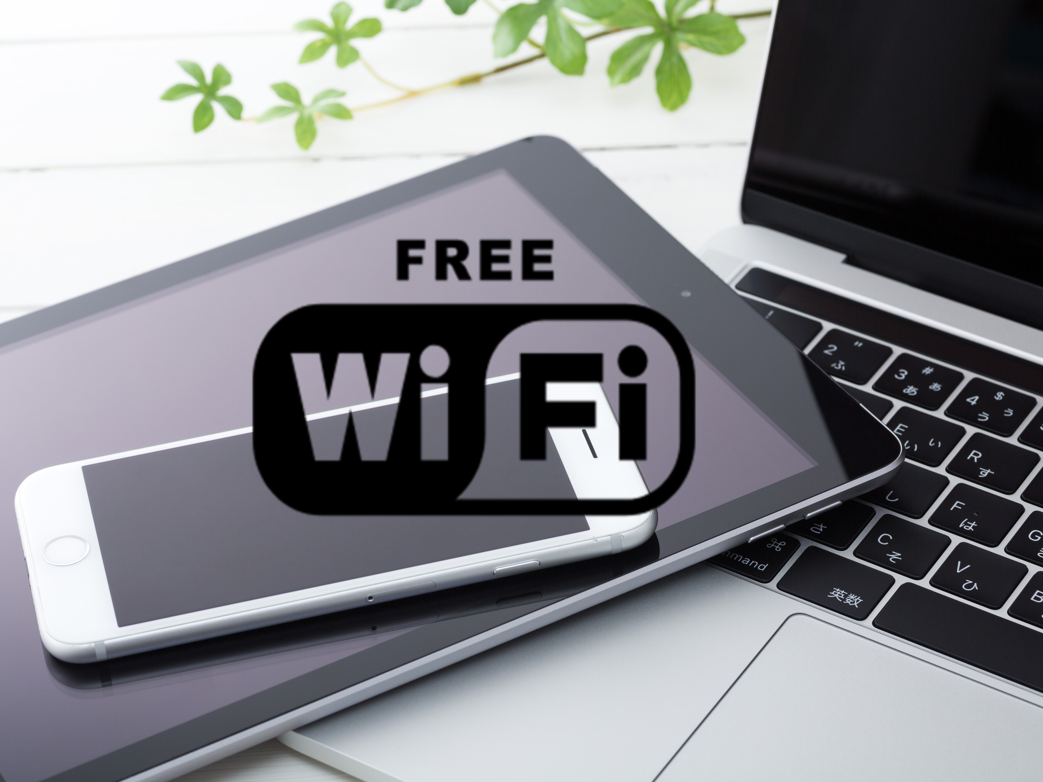 Wi-Fi (free connection in guest rooms and the entire building)