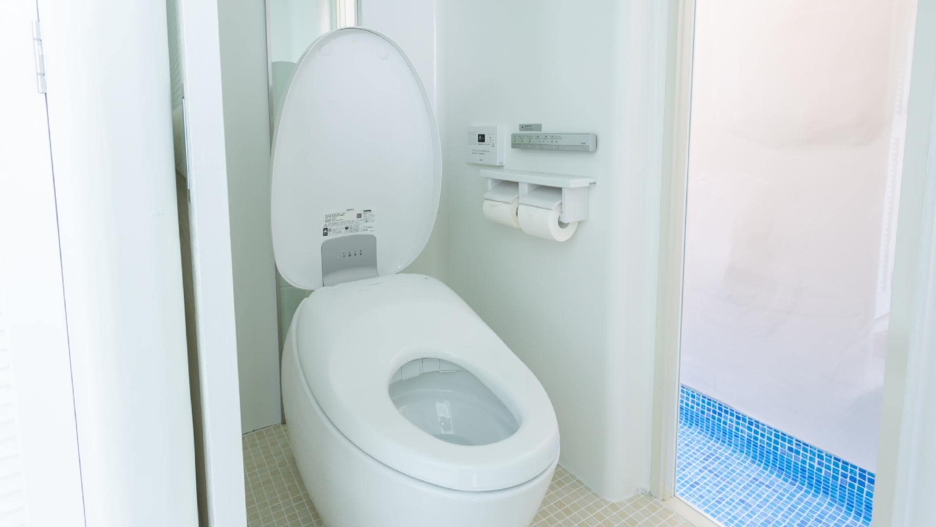 Washlet in the room