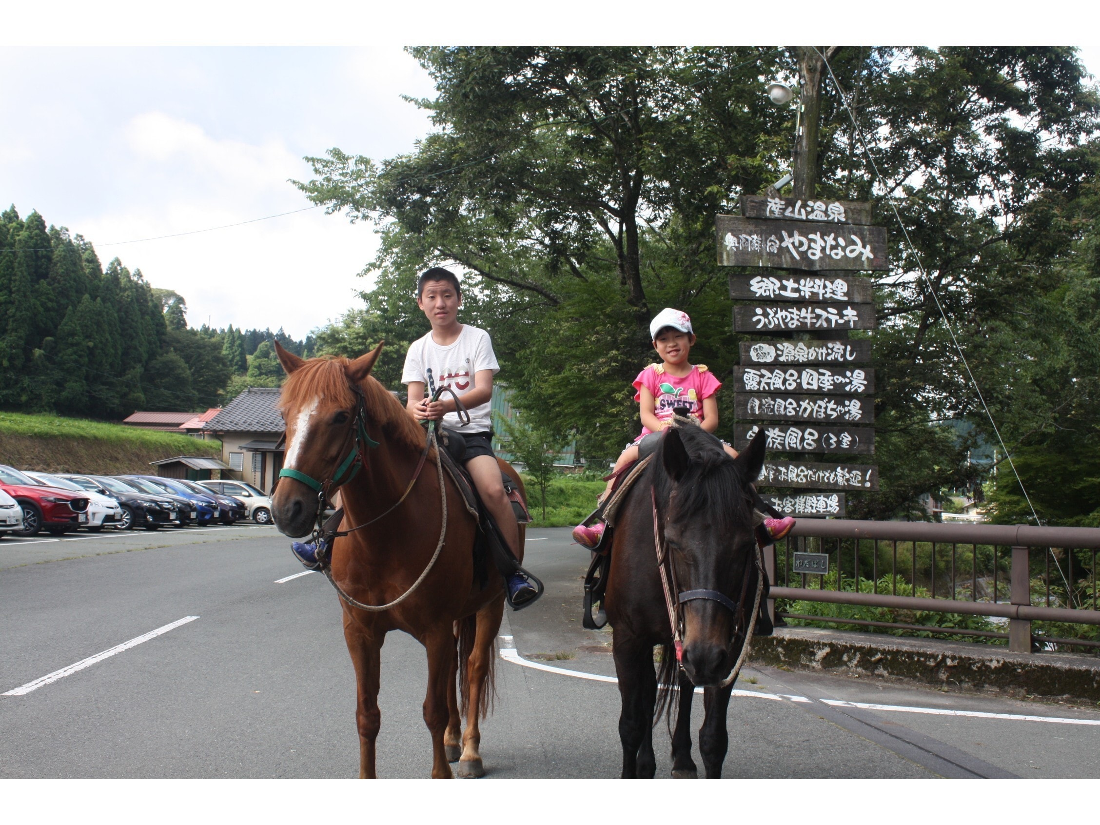 Surrounding area Horse riding experience 1