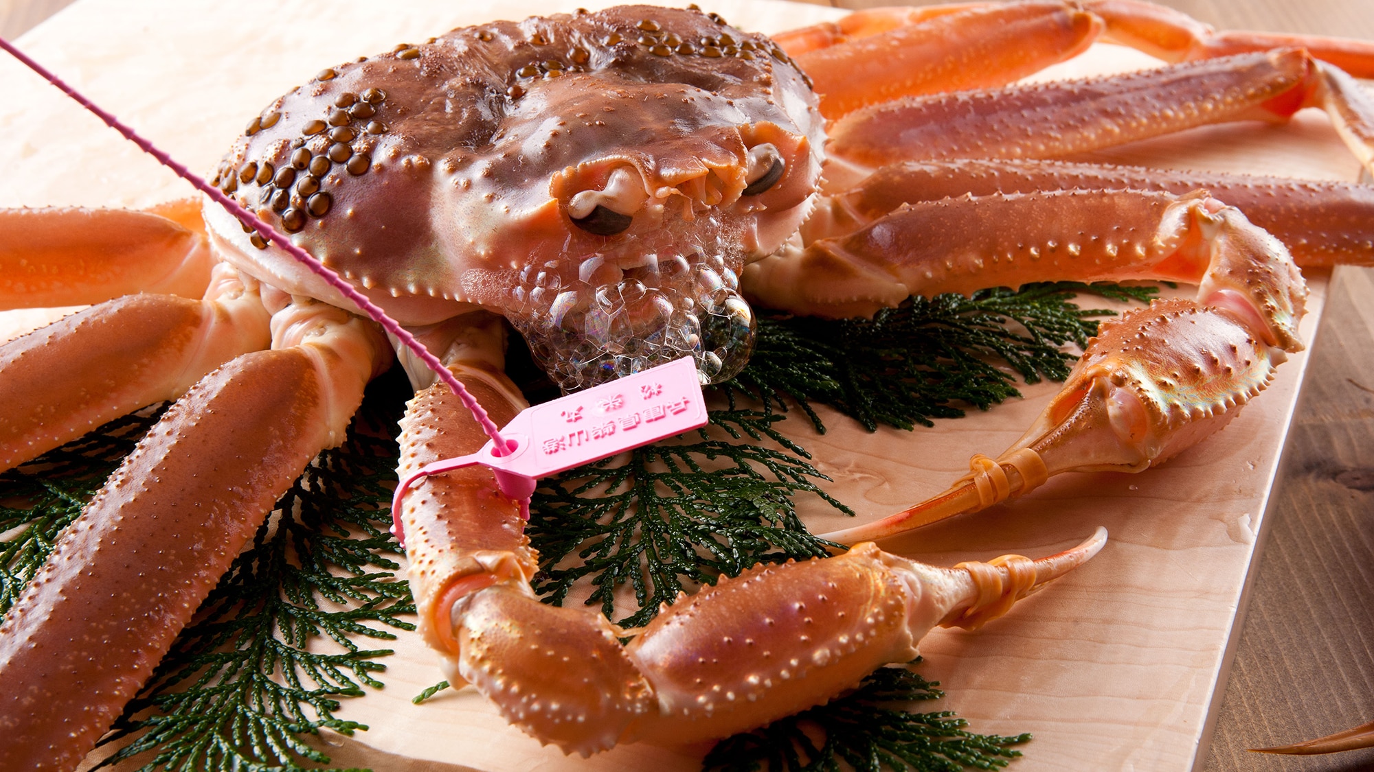 ปูหิมะป้ายชมพู