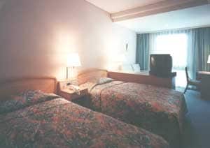 Example of guest room