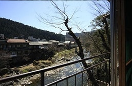View from the room
