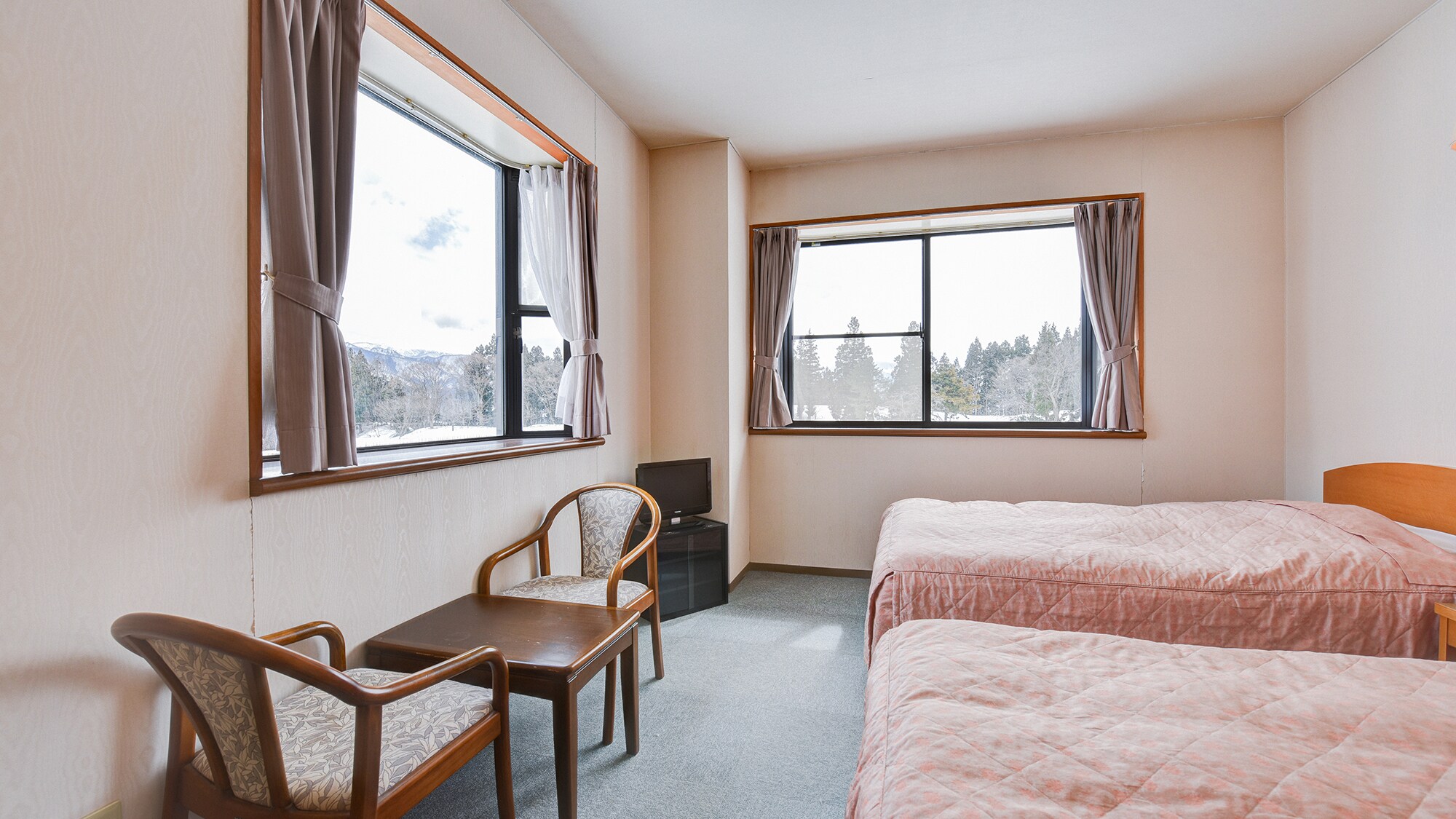 *Example of a twin room