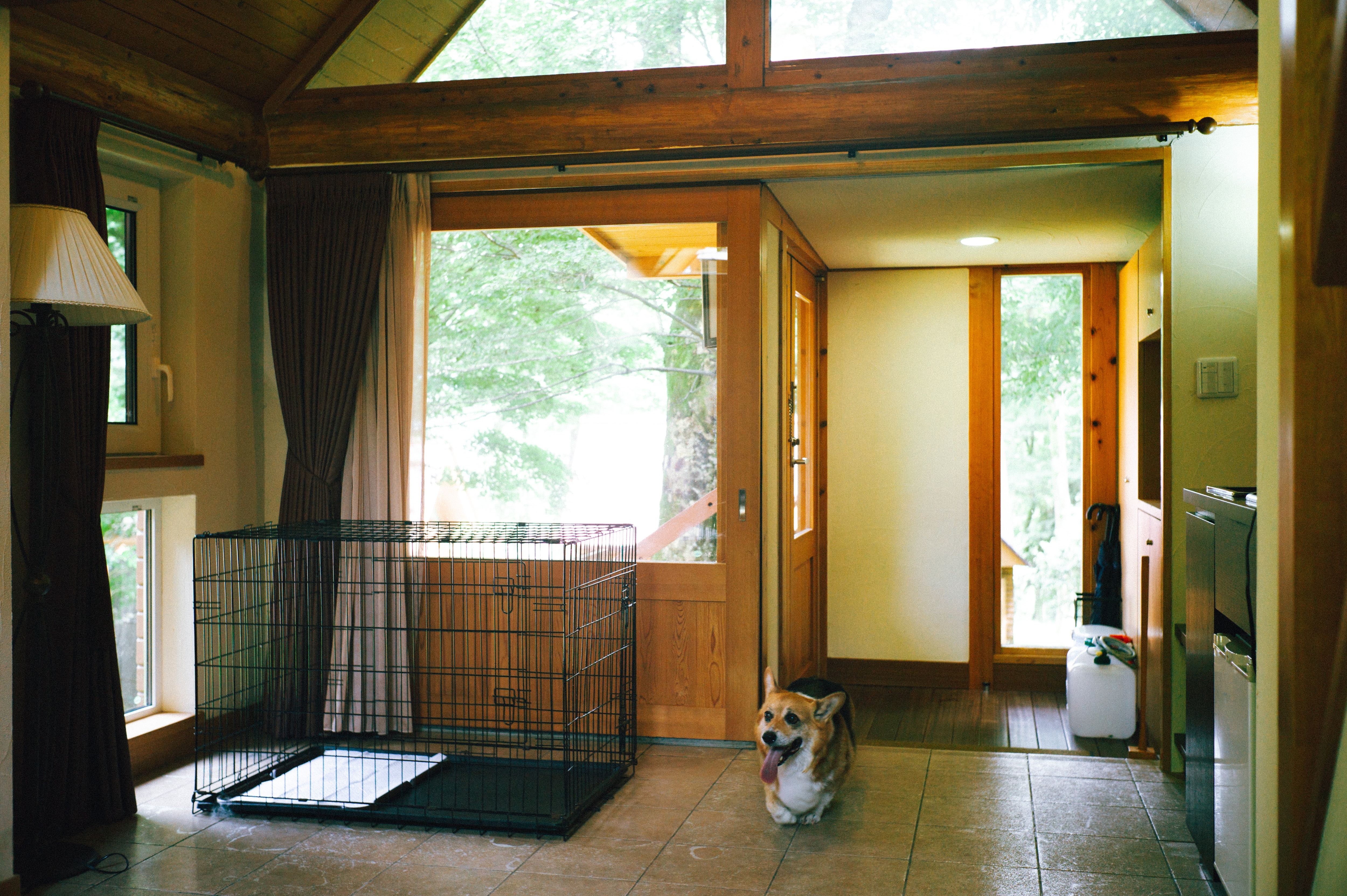 Dog friendly room villa entrance entrance gauge