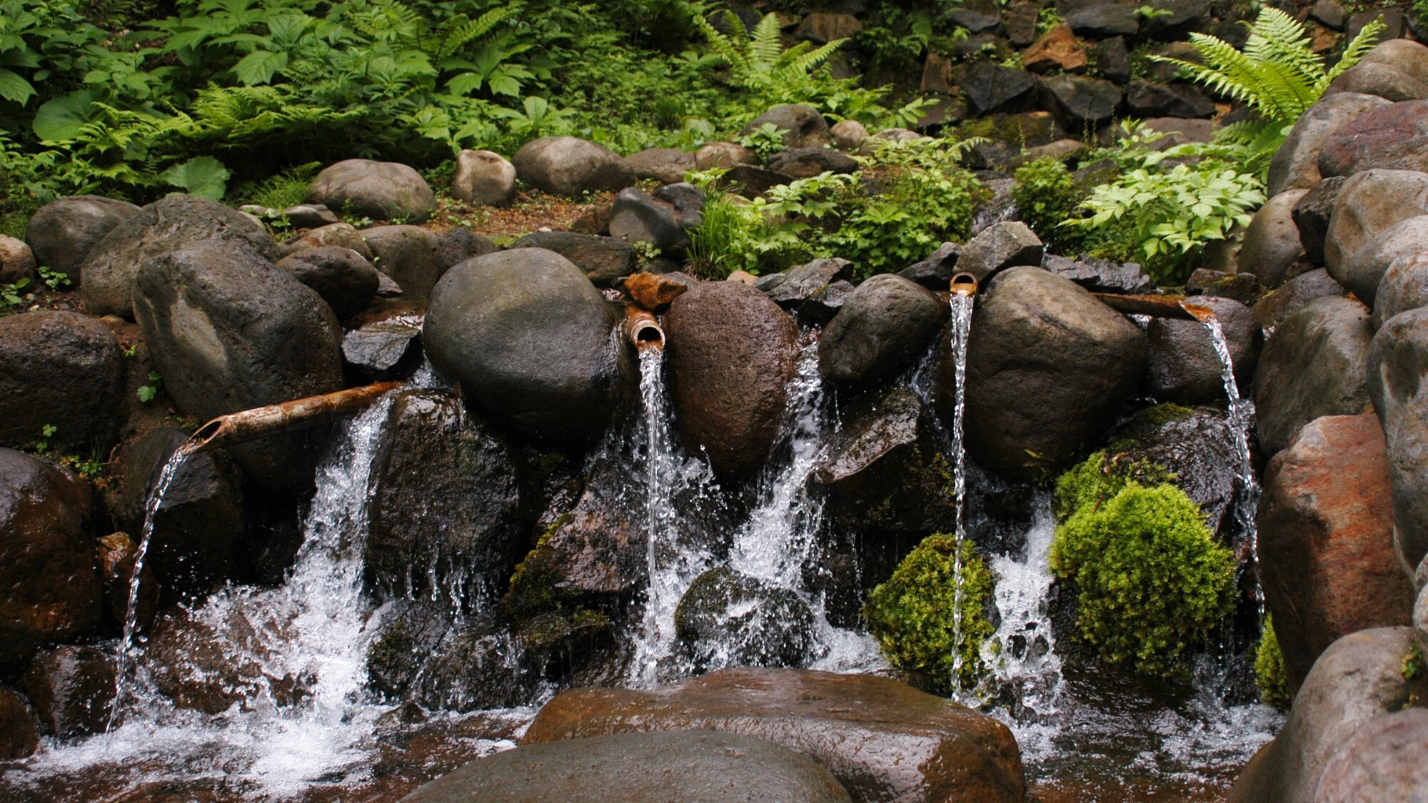 ※岩手坊/天台之湯使用的水是從半山腰湧出的岩手坊泉水。
