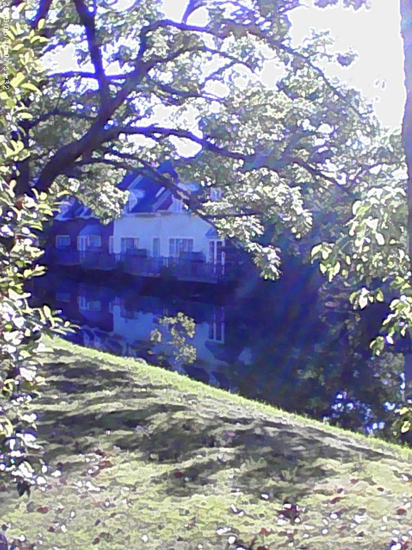 IMG_2097.jpeg