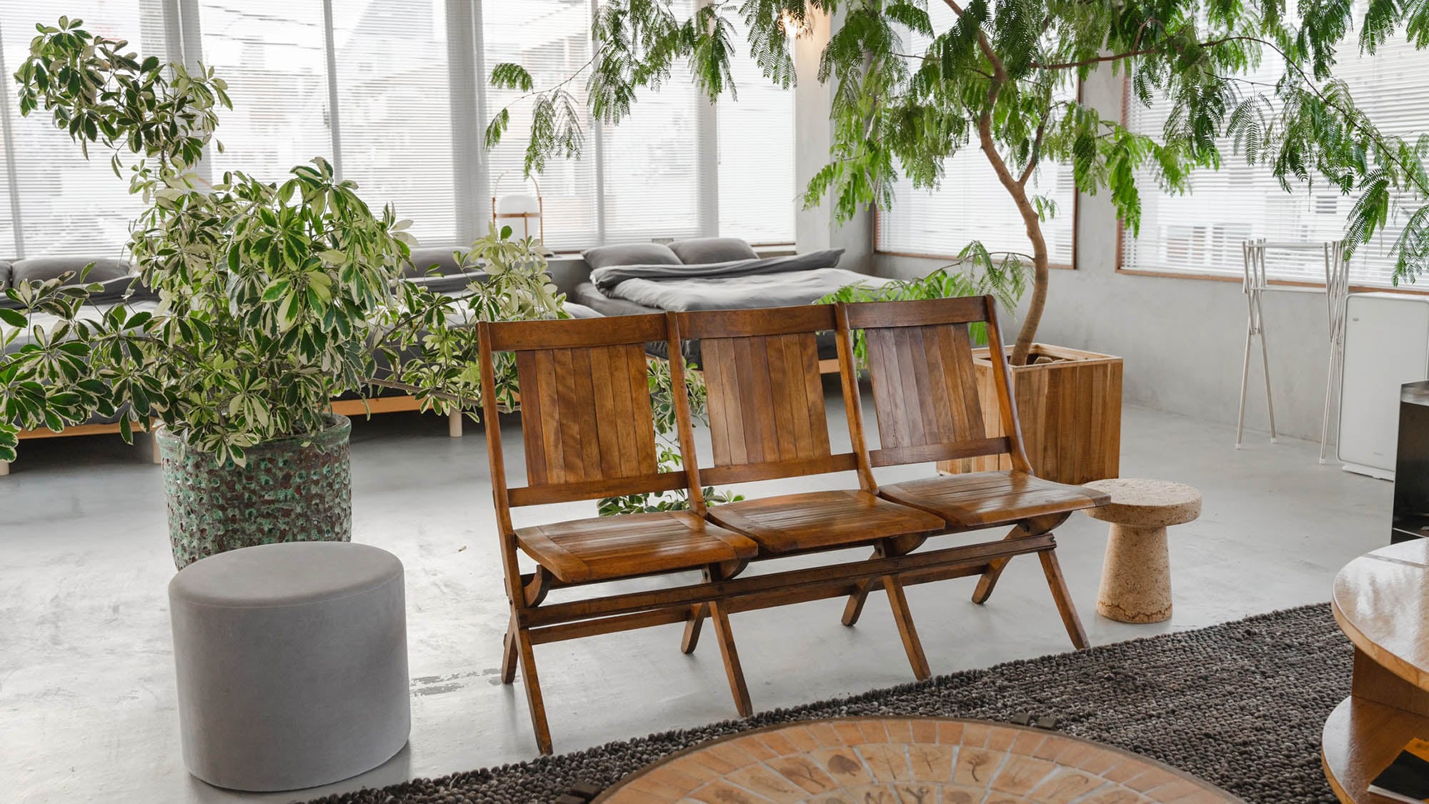 ・[Guest Rooms] Feel the warmth of plants and wood in a calm, chic space.