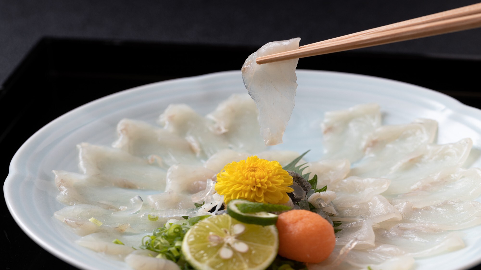 [付費：單點] 虎河豚之泰莎