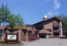 Appearance image