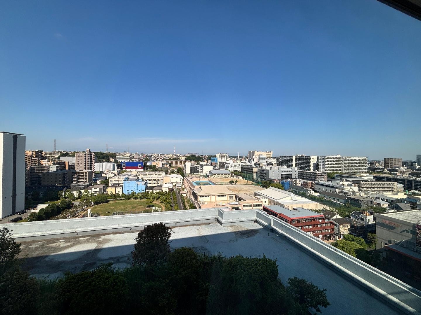 IMG_7867.jpeg