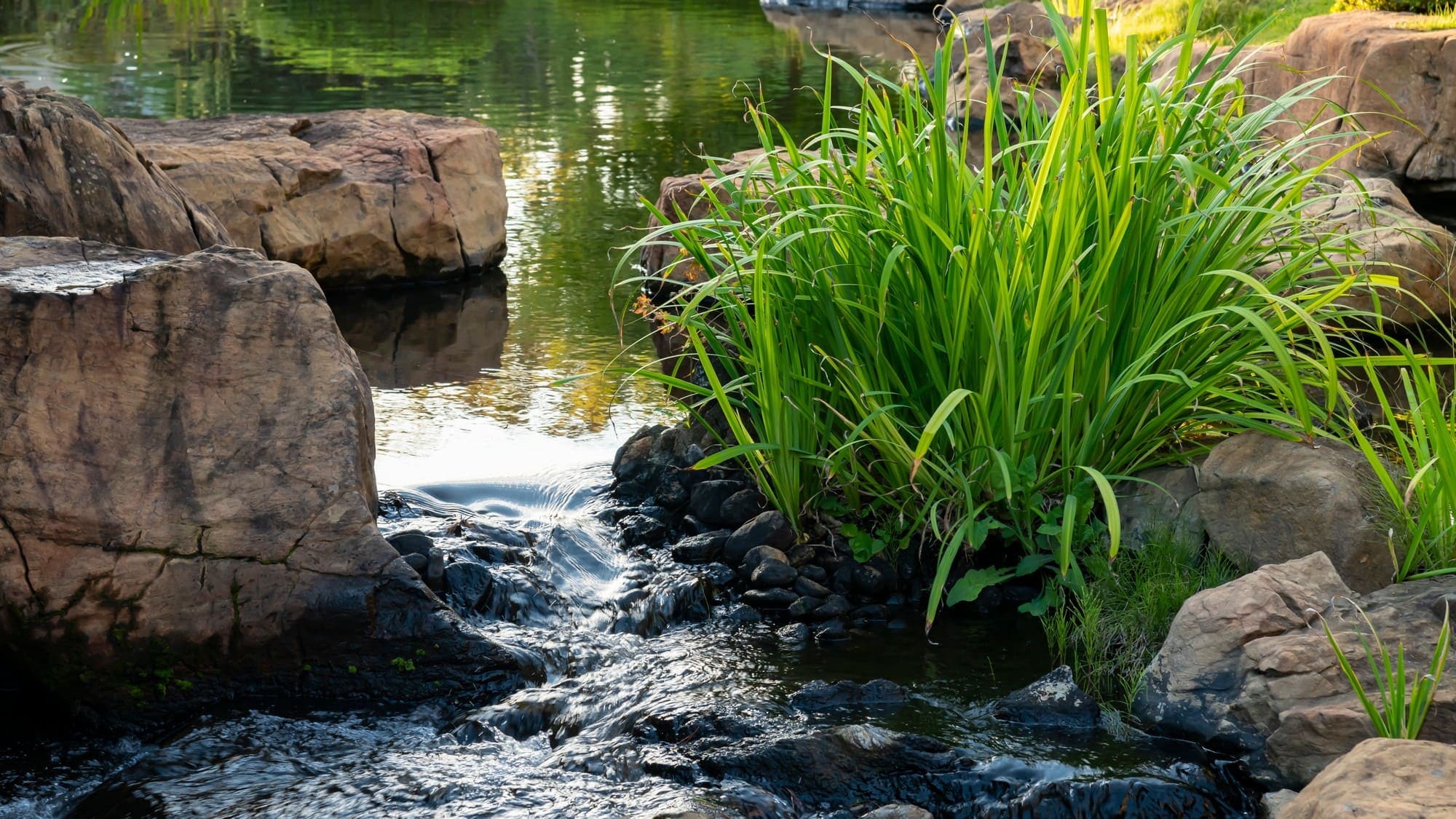 A stroll through the garden will soothe your soul with the sound of babbling water.