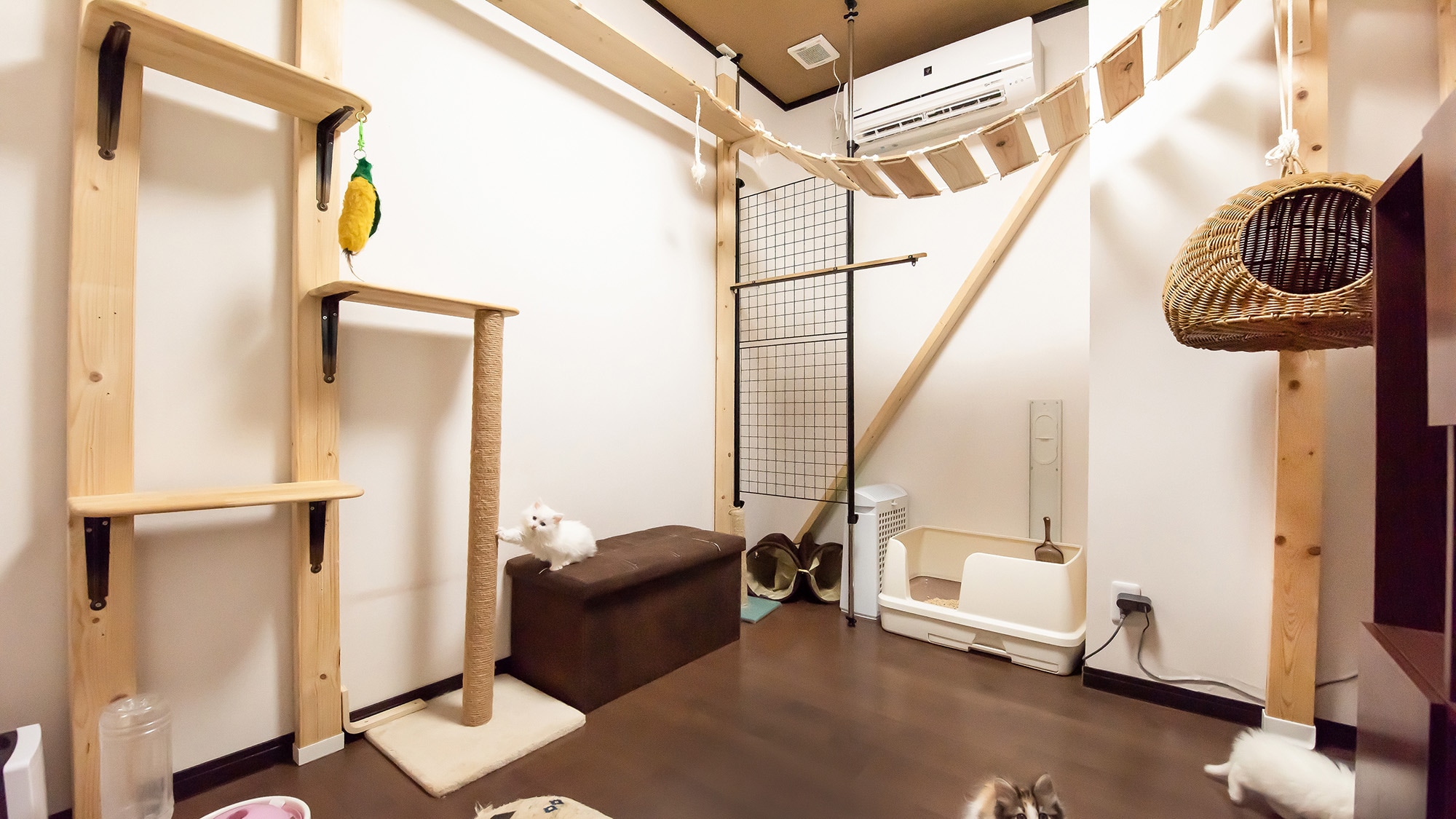 *[Cat Room] Your cat will be delighted★ Guests staying at the hotel can enjoy interacting with the cats for free♪