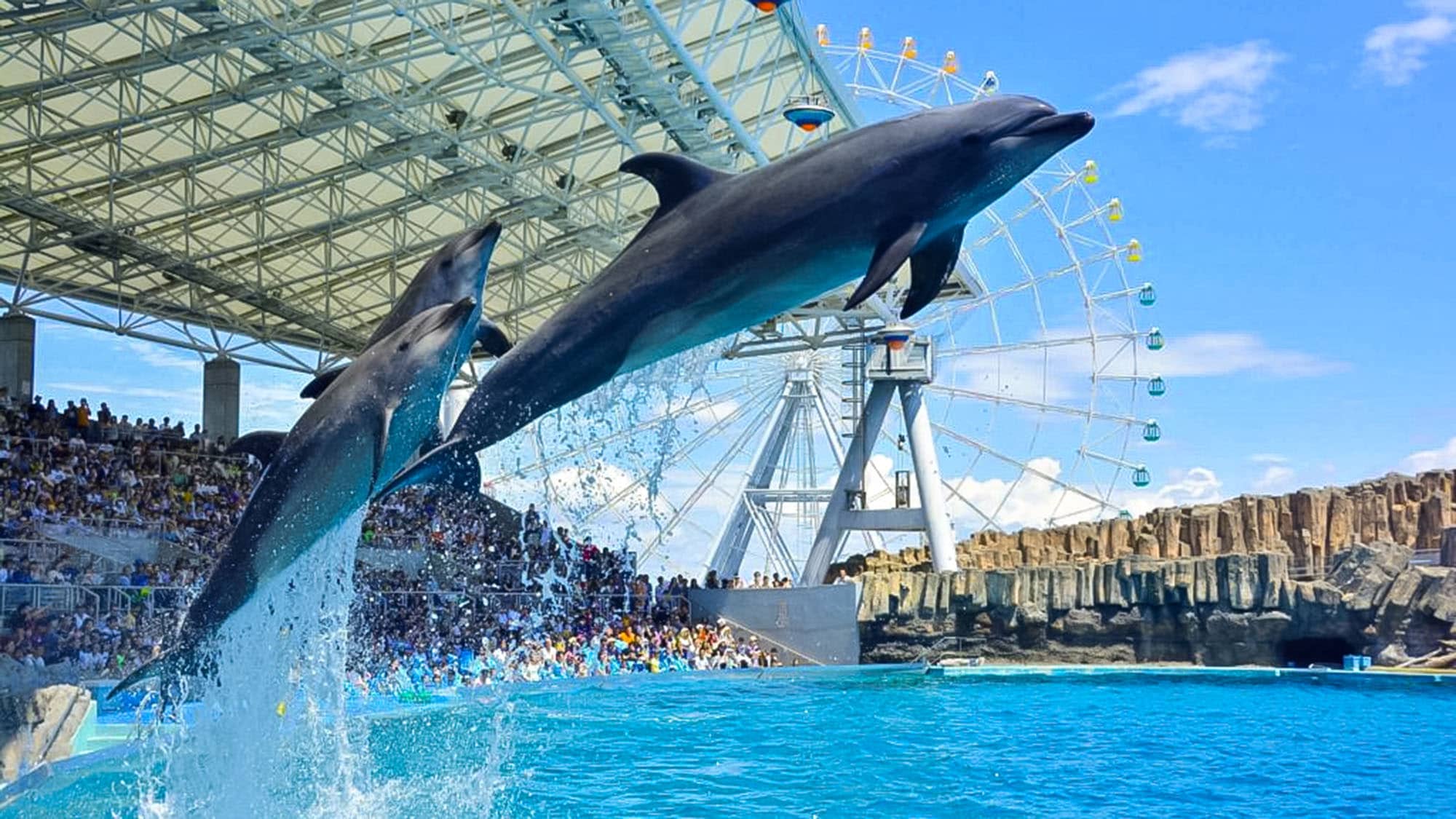 ・Port of Nagoya Public Aquarium: Discover the ecology and evolution of marine life