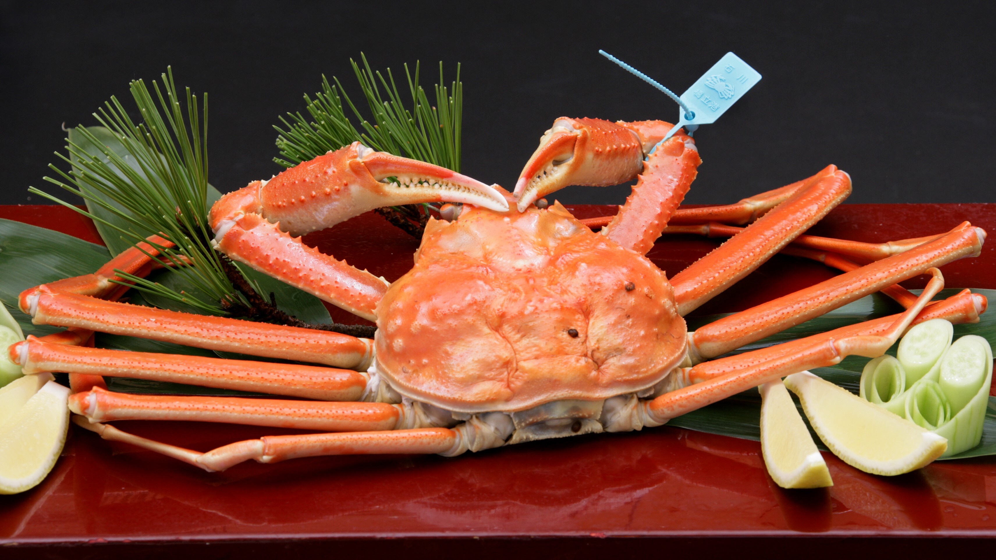 One crab image photo with tag