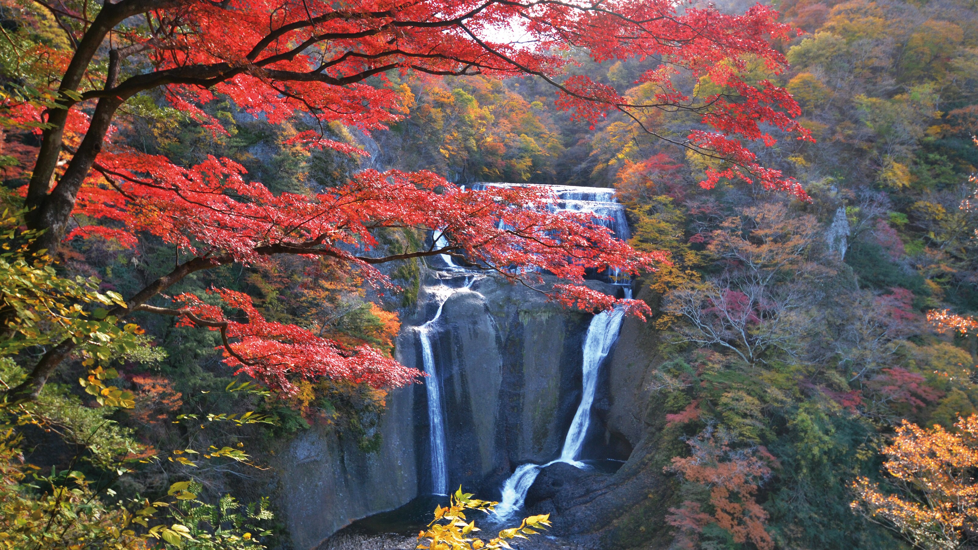 Fukuroda Falls Autumn leaves