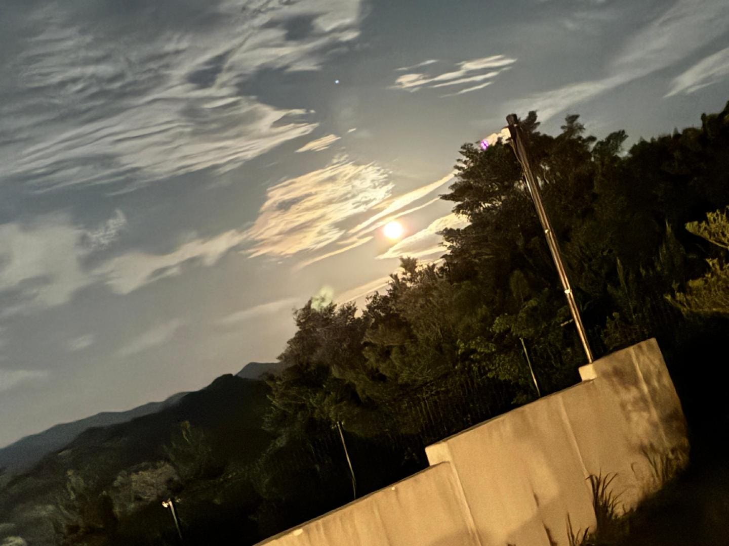 11DD7949-14B0-4238-97A9-851DDBE63579.jpeg