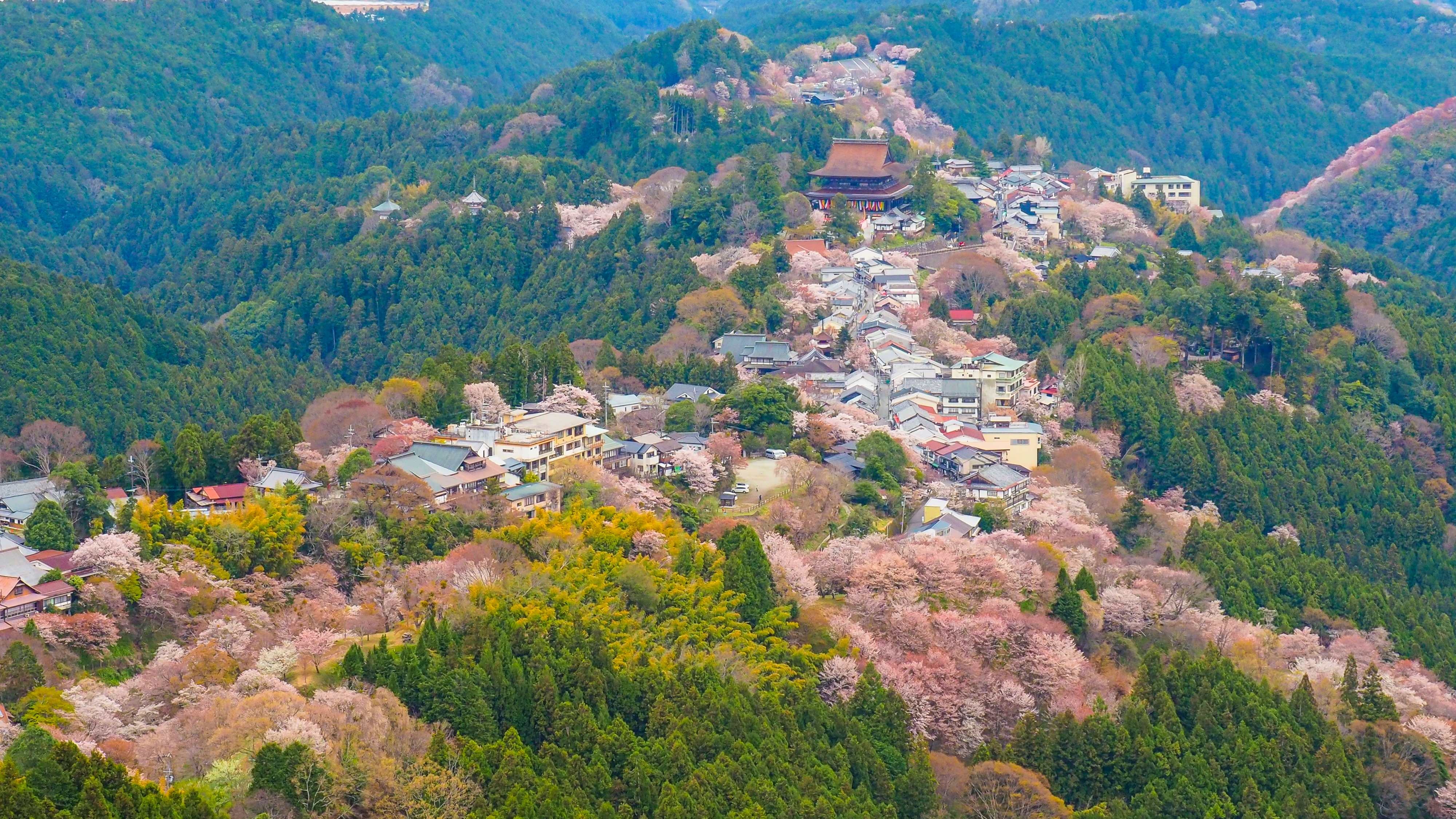 Sacred Sites and Pilgrimage Routes in the Kii Mountain Range: Mount Yoshino (40 minutes by car)