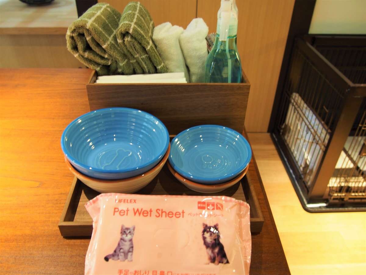 Special offers for dogs