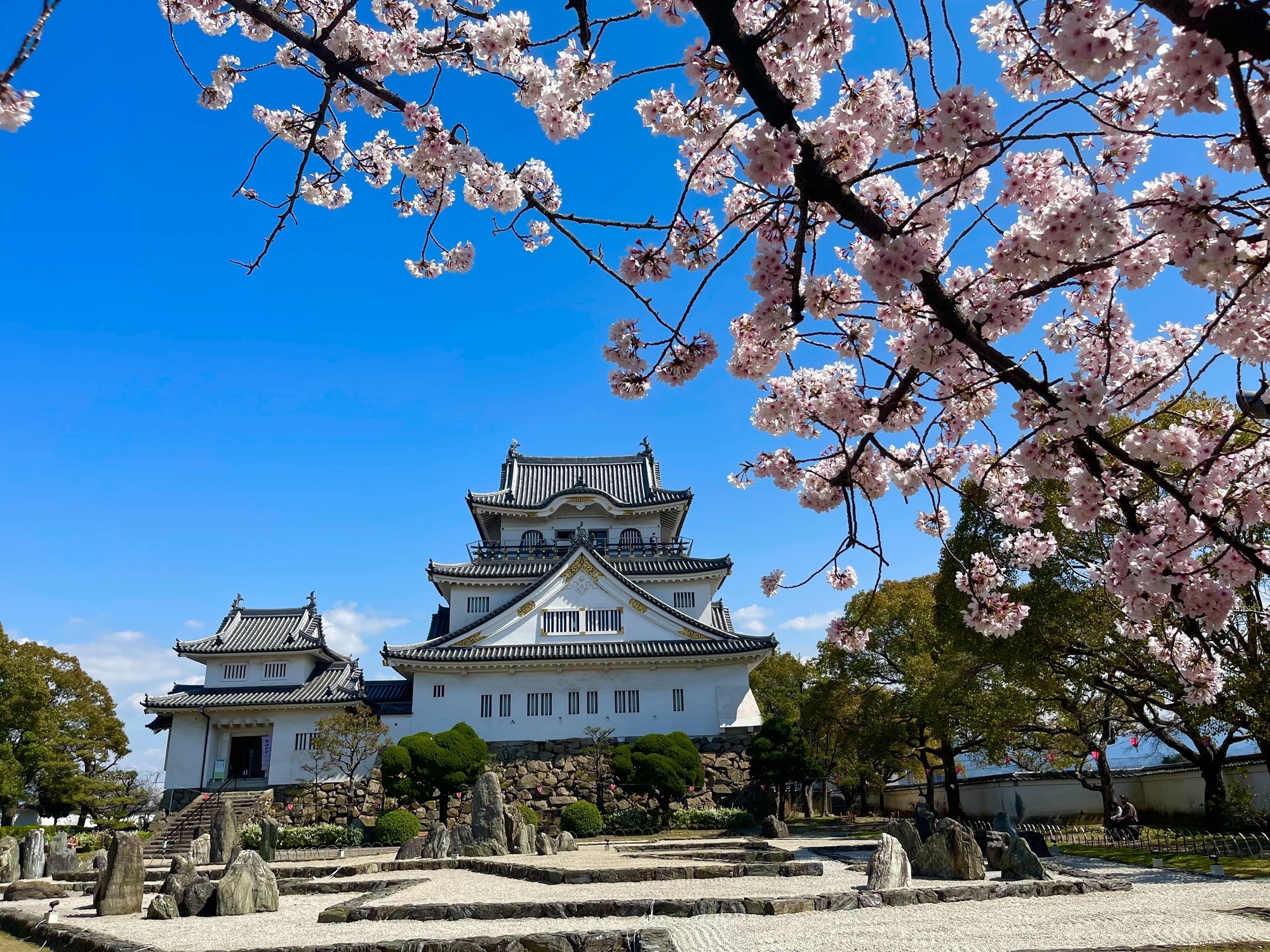 Kishiwada Castle Cherry Blossoms 1