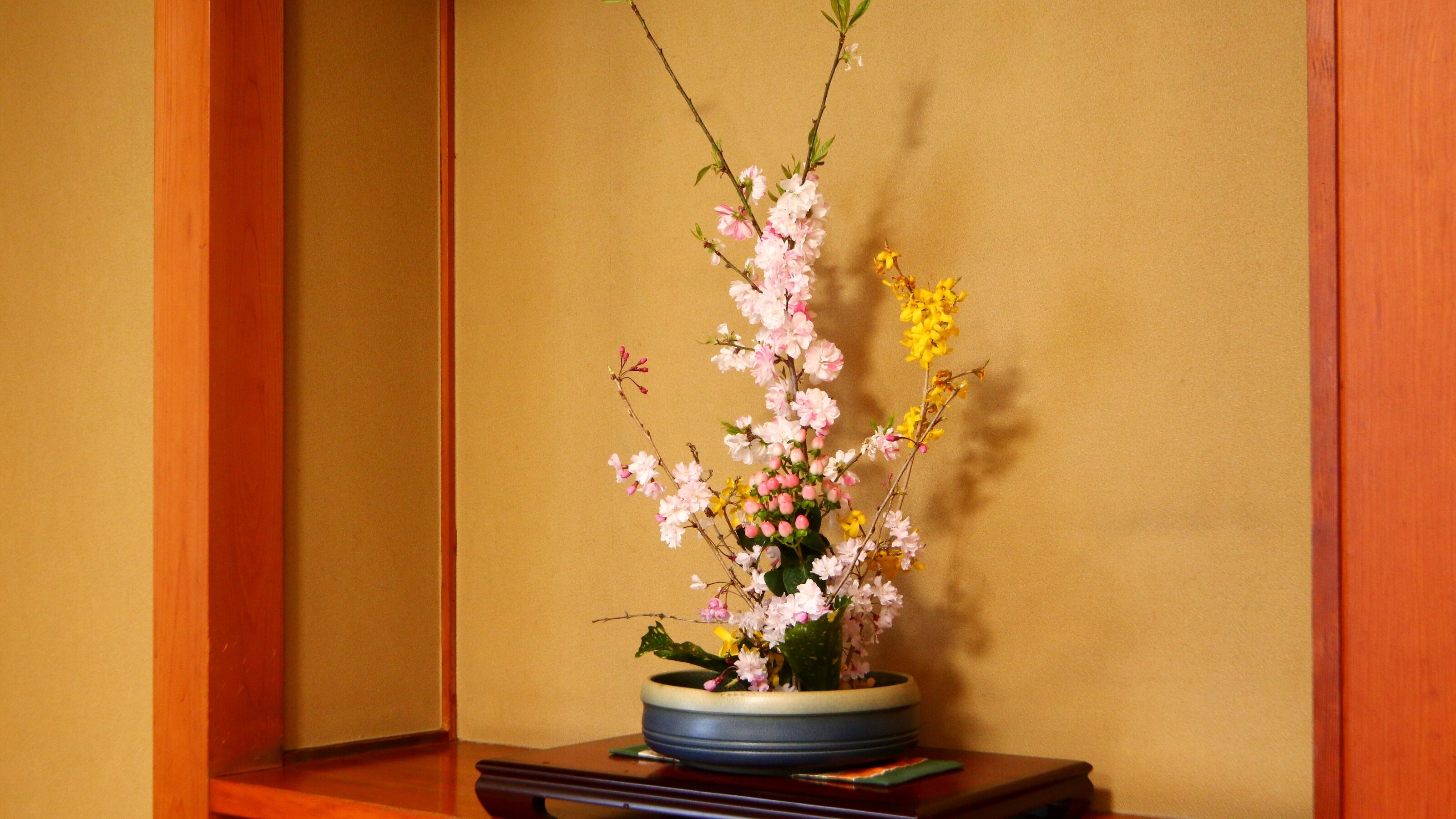 [客房] 四季鲜花盛开，欢迎您的到来。