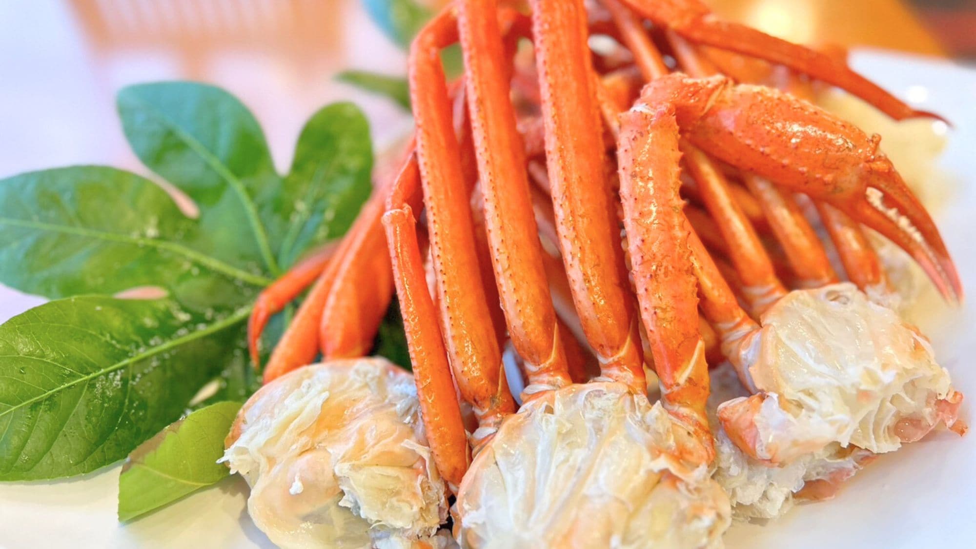 【冬季限定】美味刺雪蟹