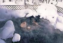 Winter open-air bath