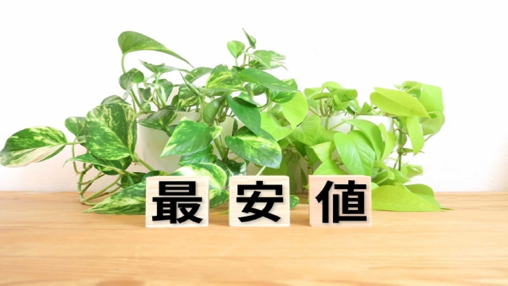แผนราคาถูกที่สุด