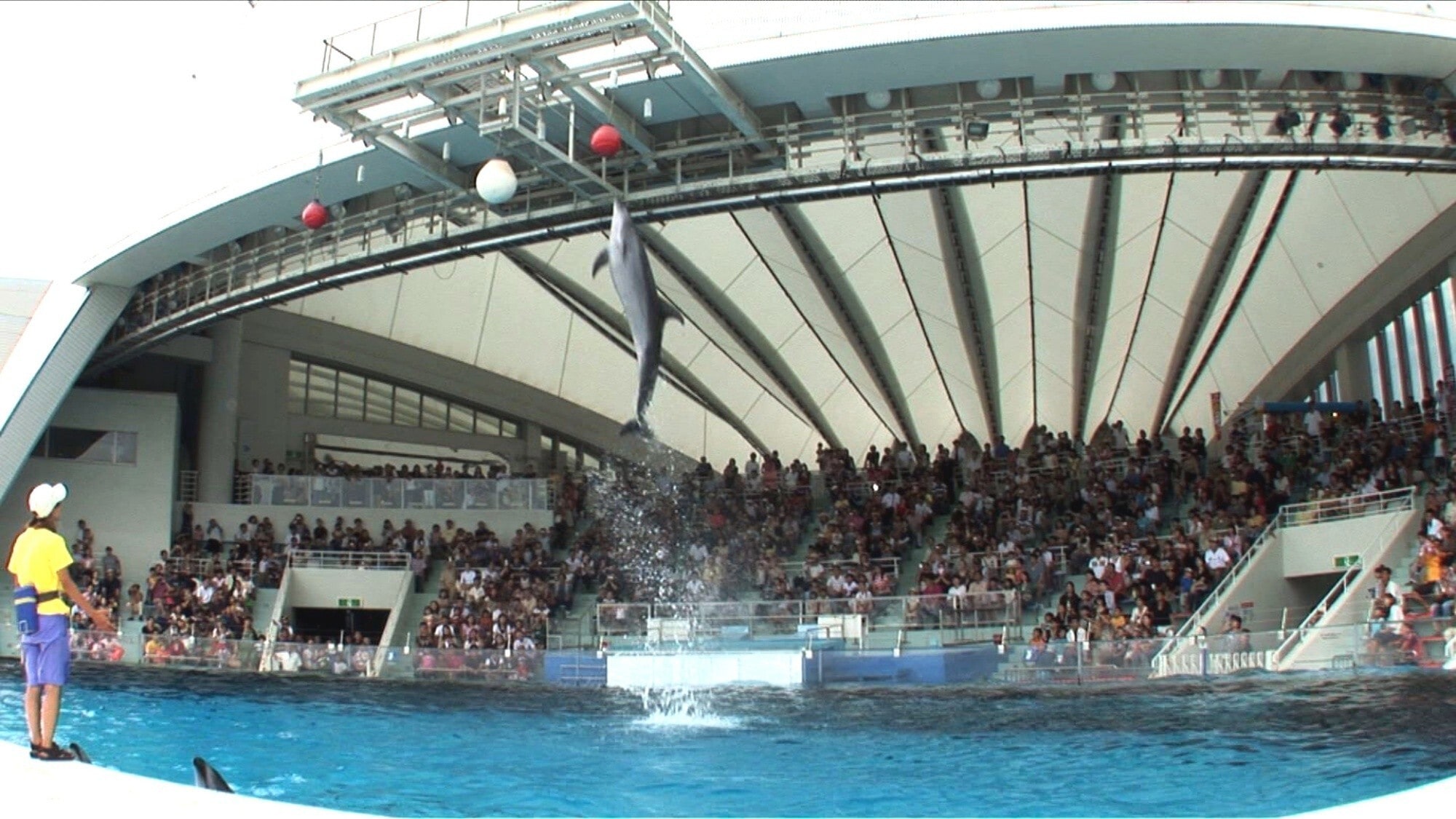 Nearby sightseeing / [Marine World] A popular aquarium in Fukuoka where you can encounter impressive sea creatures... 35 minutes by car from our hotel
