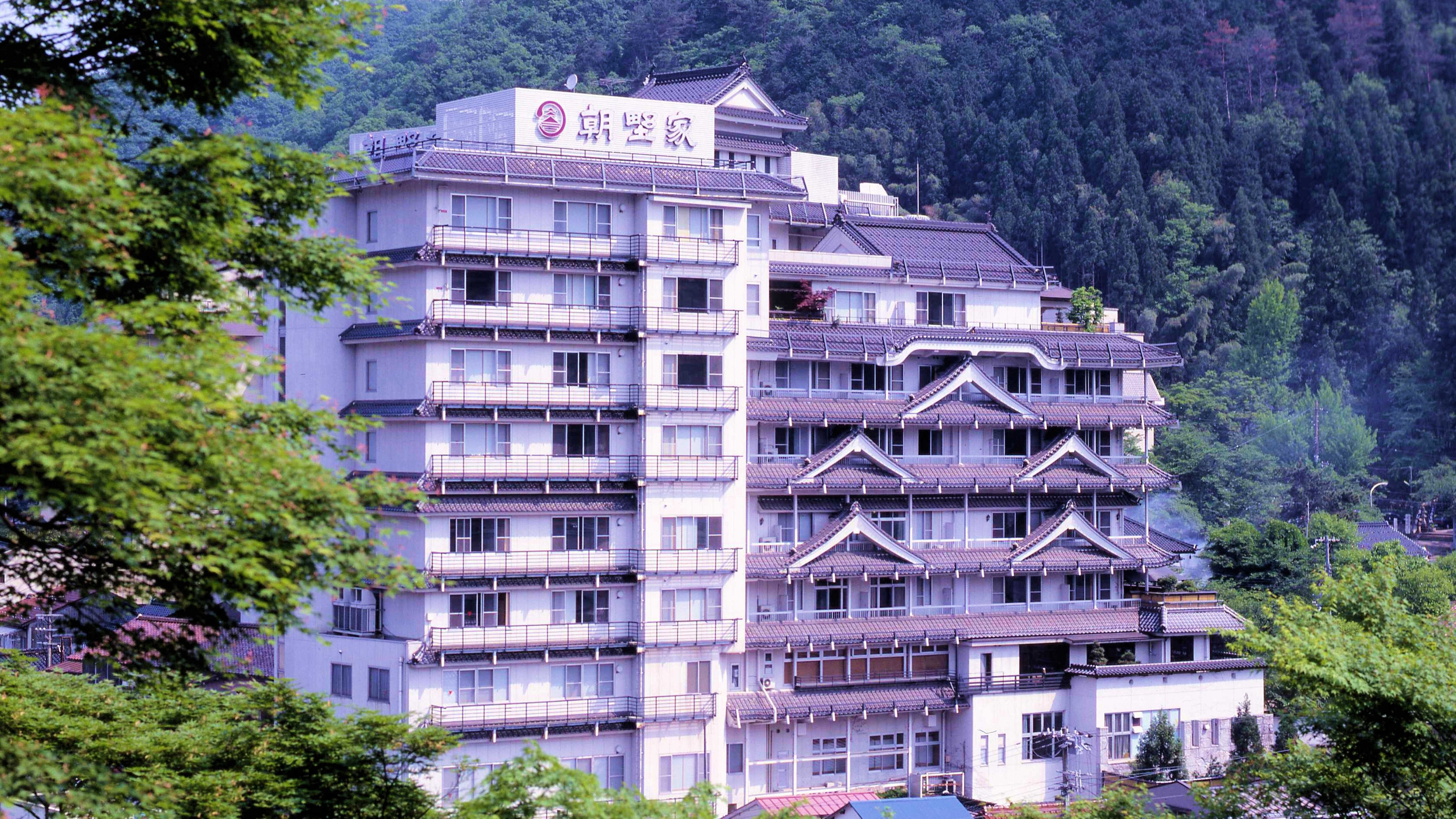 Summer-a panoramic view of the fresh green
