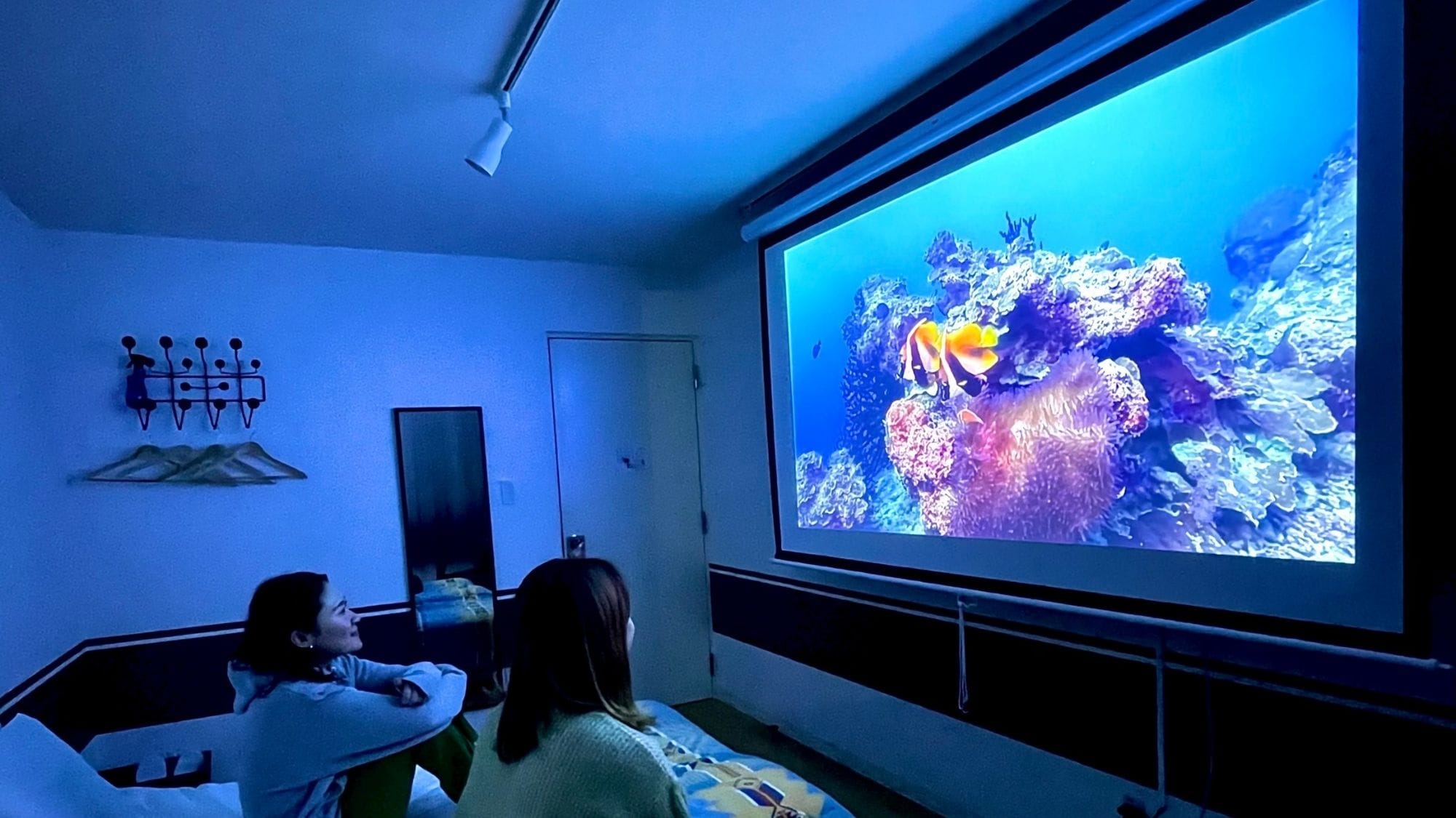 Theater King Room
