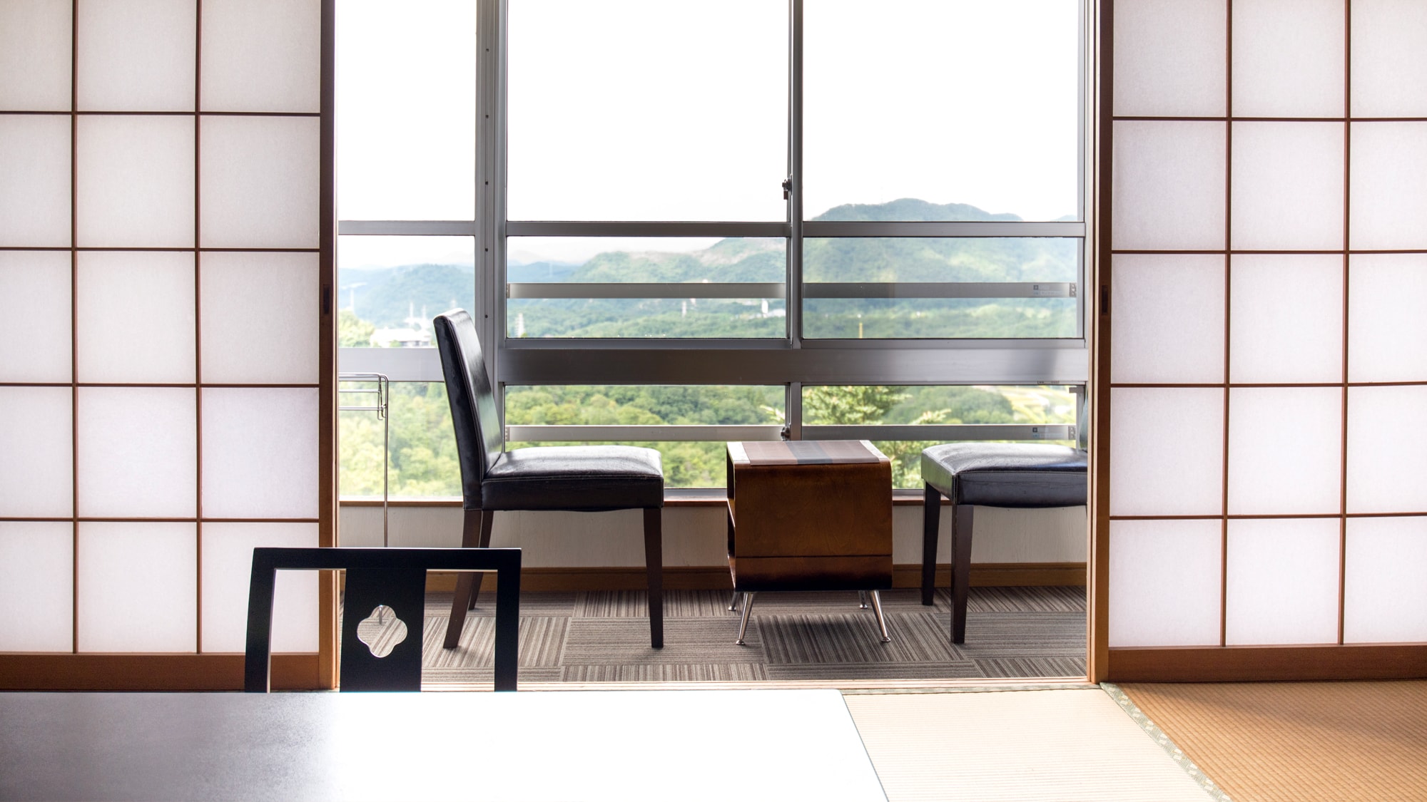 [10 tatami mats + wide-rimmed Japanese-style room mount view]