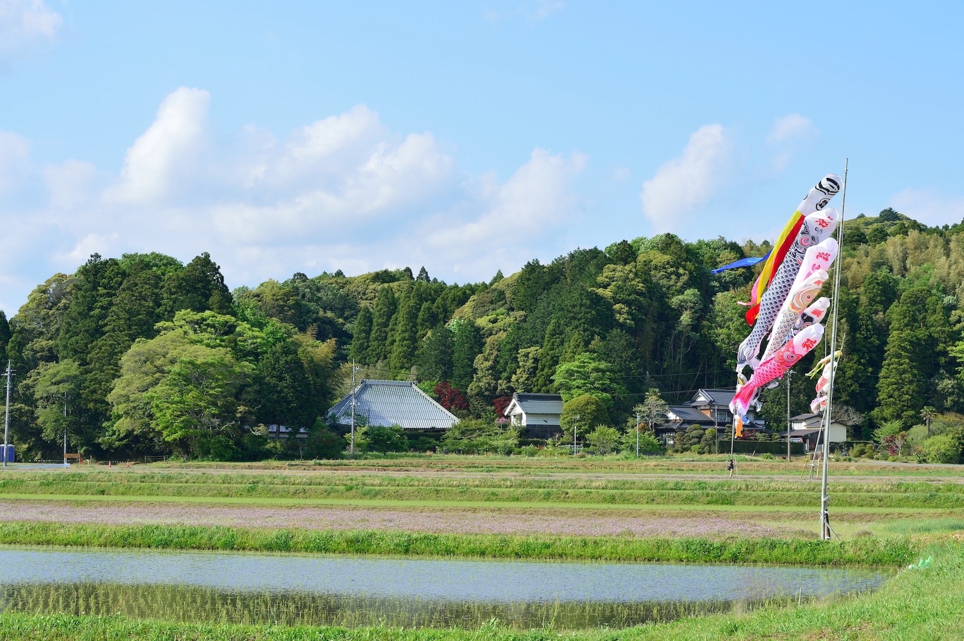 Marugametsu Distant view