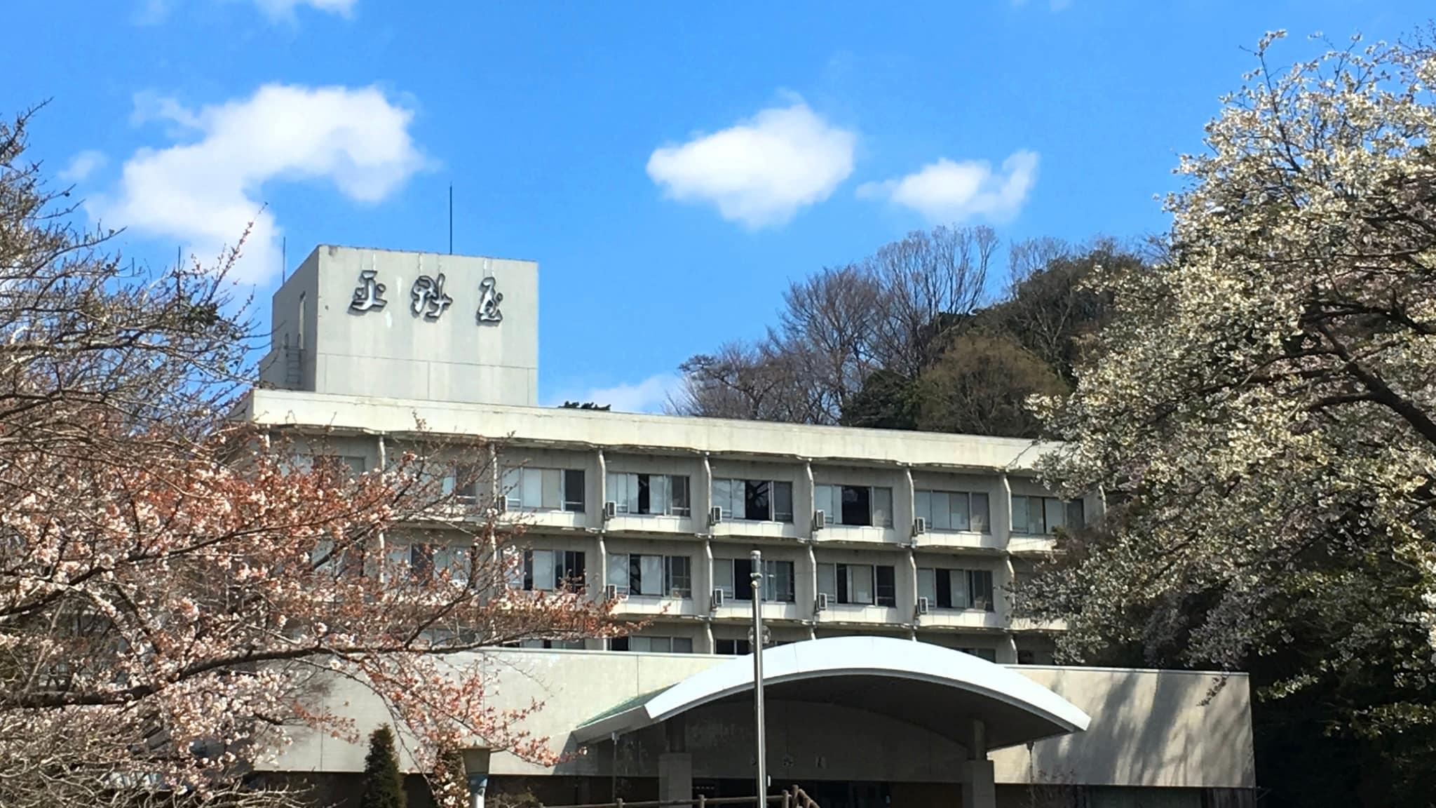 平野屋外観　春