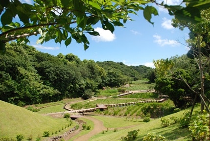 里山水生花園