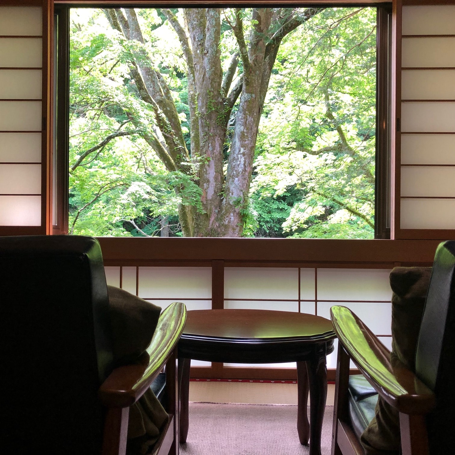 Hinayu, a guest room with an open-air bath, with a Karimoku sofa and a view from the window